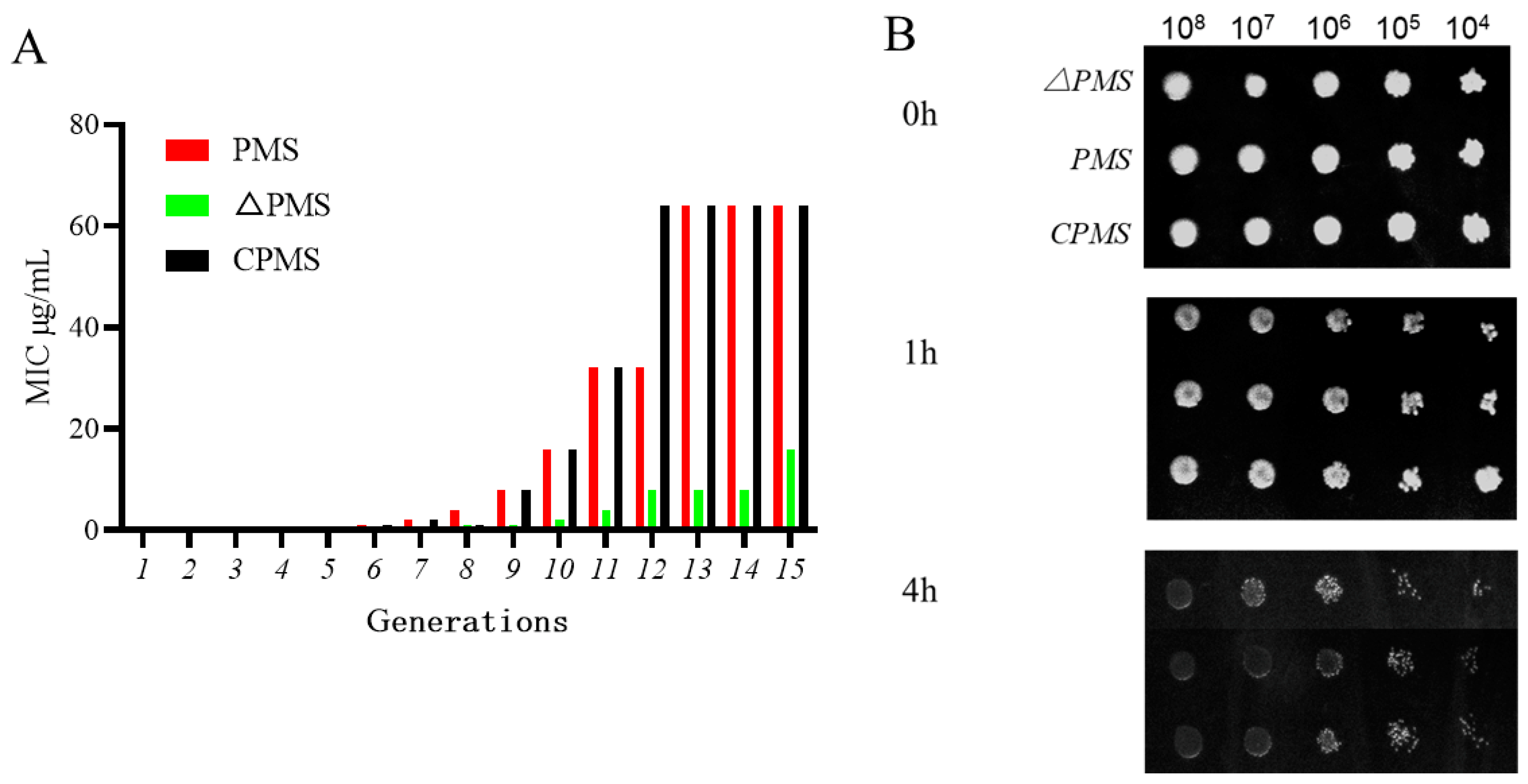 Vetsci 10 00257 g003 Vetsci 10 00257 g003