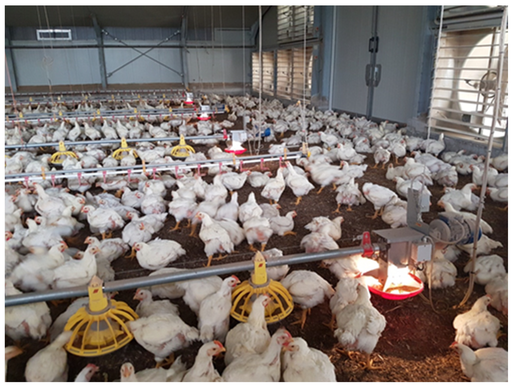 Vetsci 10 00306 g001 Vetsci 10 00306 g001