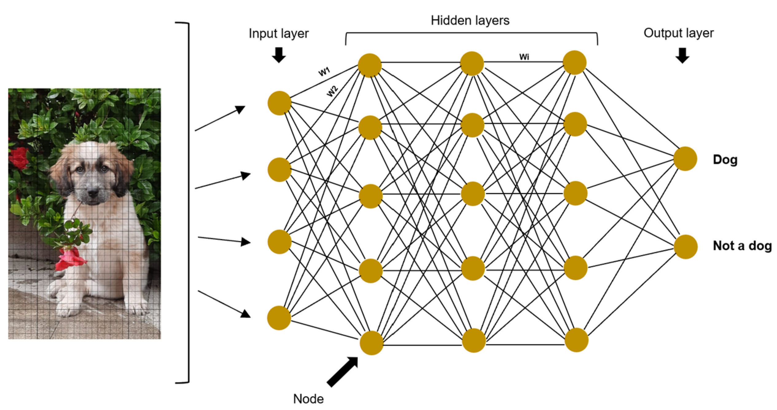 https://www.mdpi.com/vetsci/vetsci-10-00320/article_deploy/html/images/vetsci-10-00320-g001.png