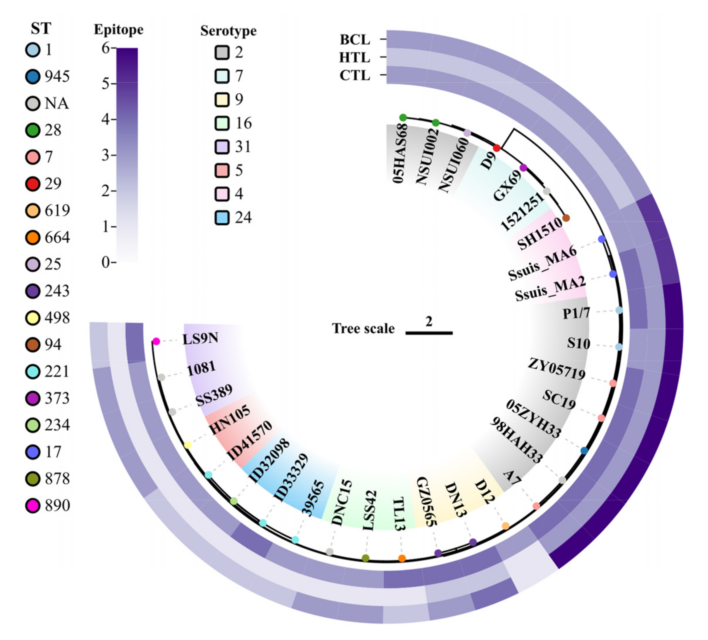 Vetsci 10 00383 g001