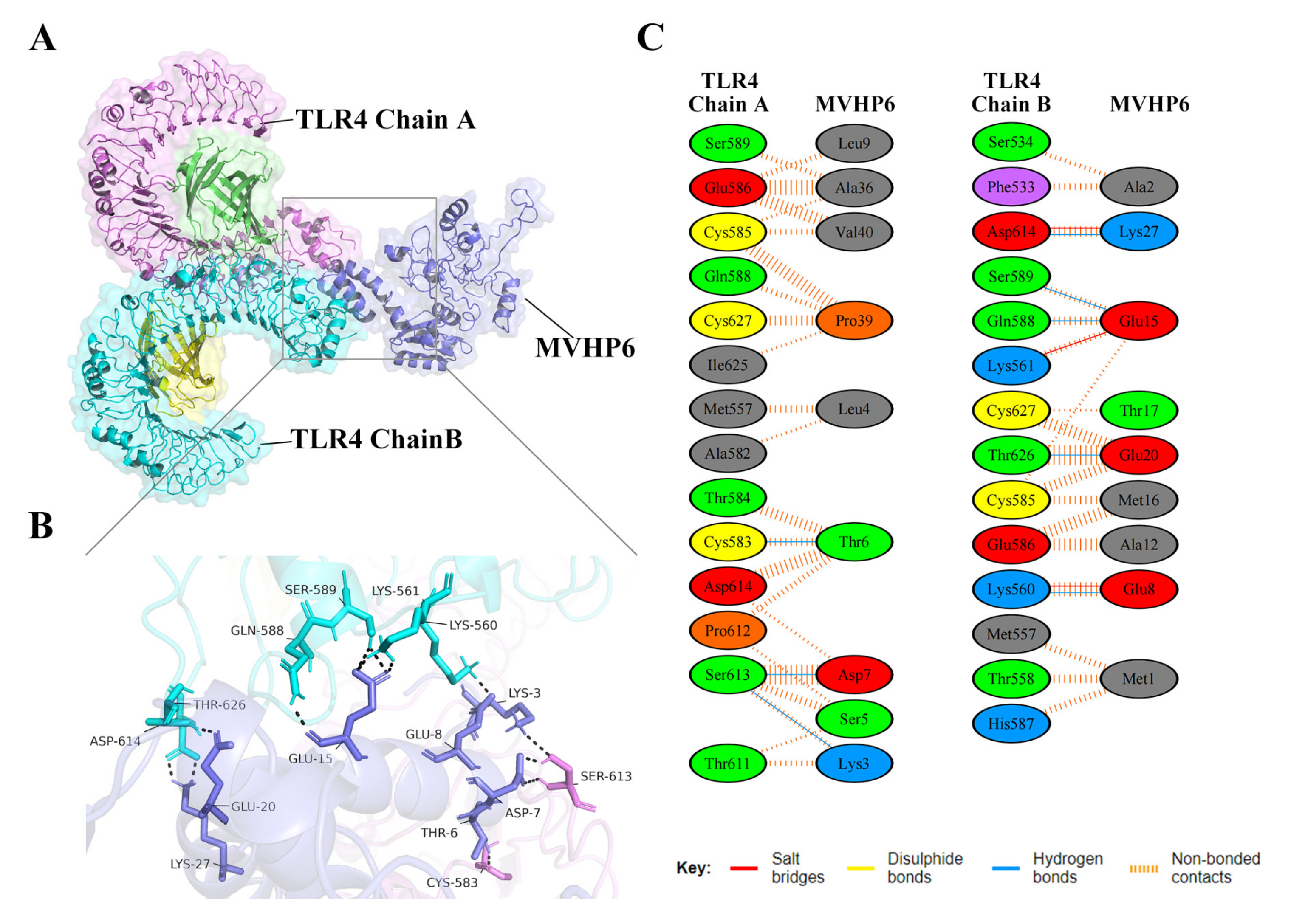 Vetsci 10 00383 g004