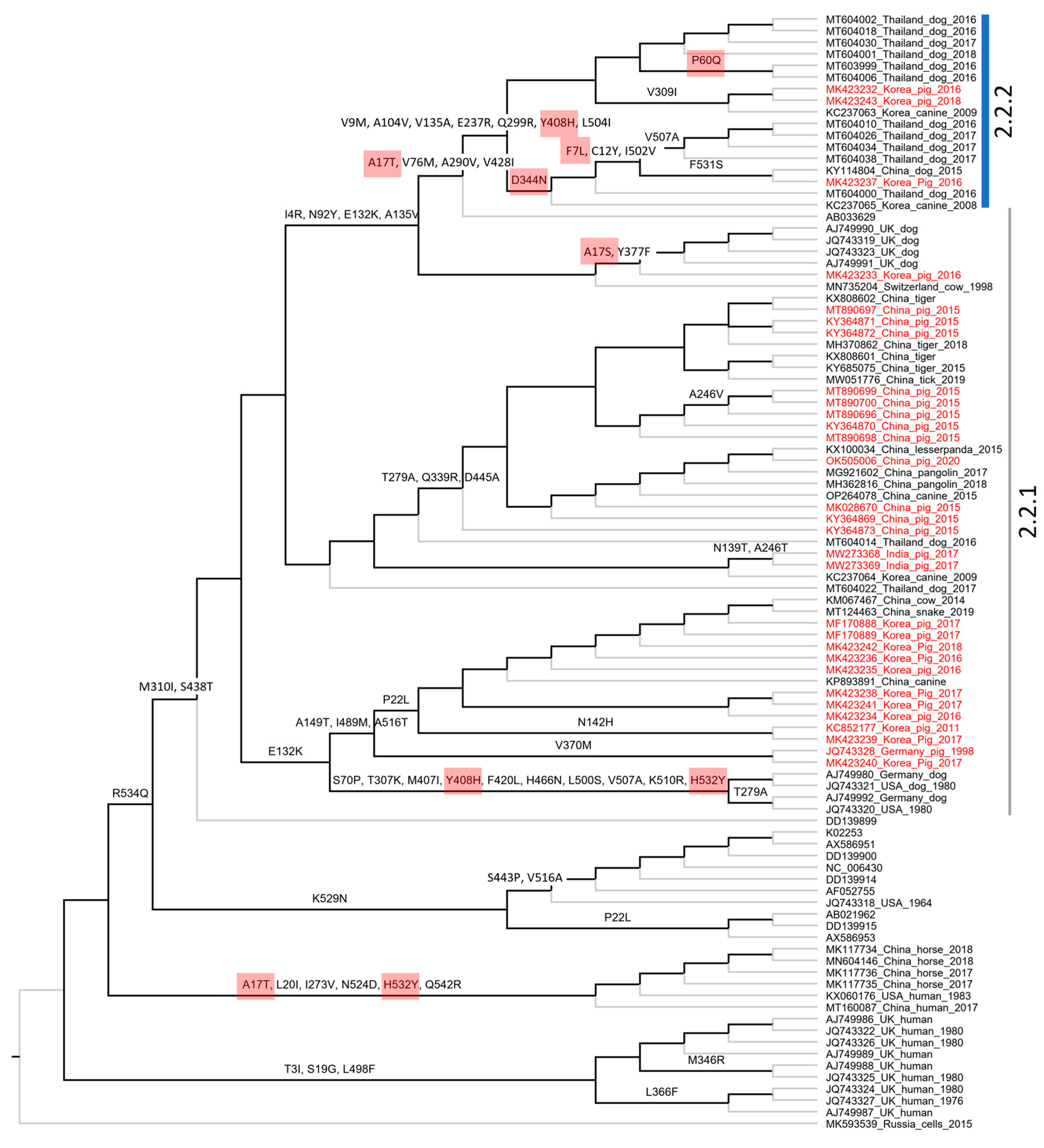 Vetsci 10 00414 g006