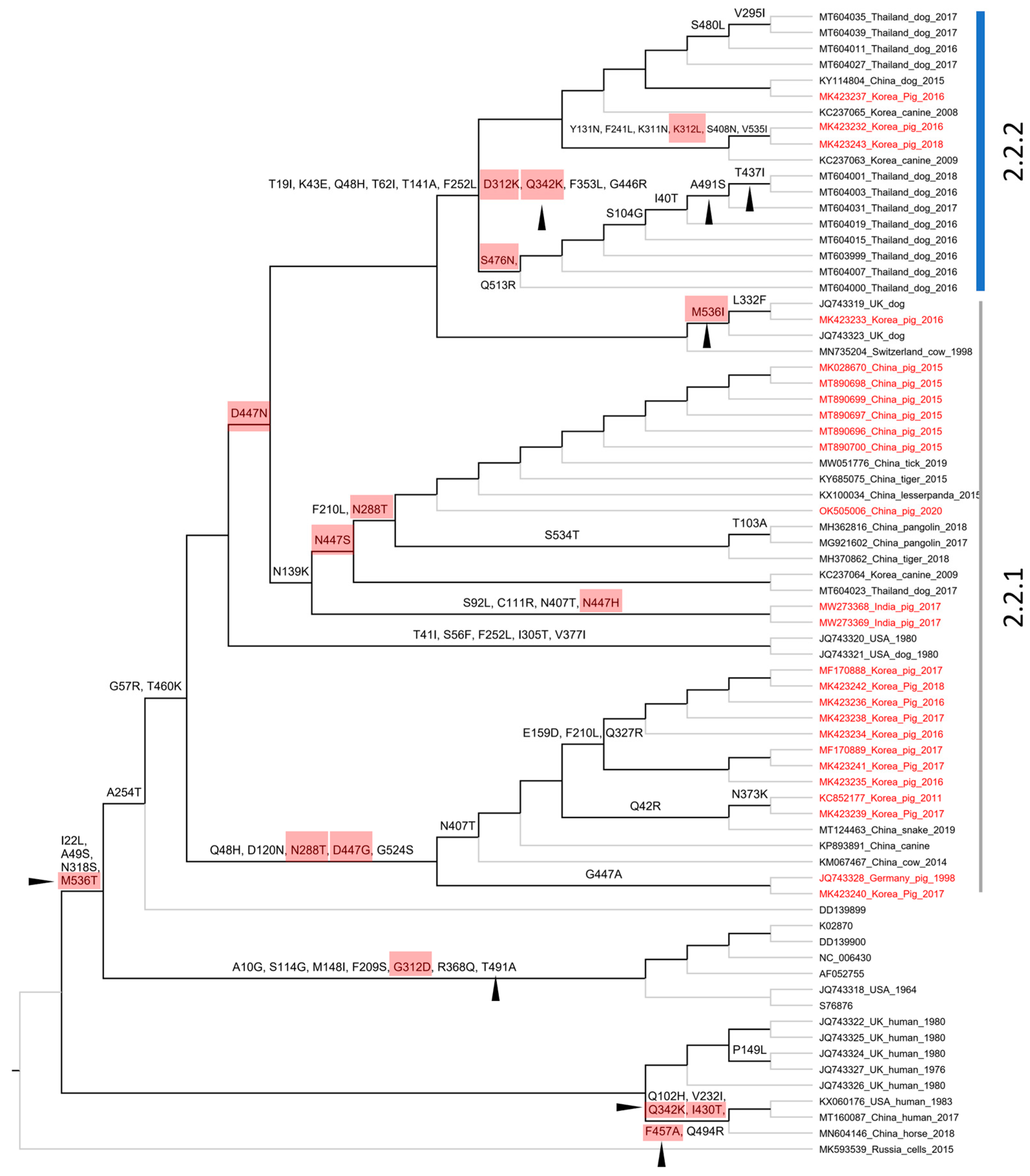Vetsci 10 00414 g007