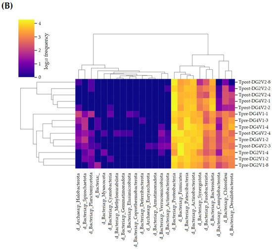 Veterinary Sciences | Free Full-Text | Influence of Gallic Acid ...