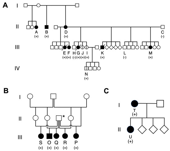 Veterinary Sciences Free Full Text First Evidence of Familial