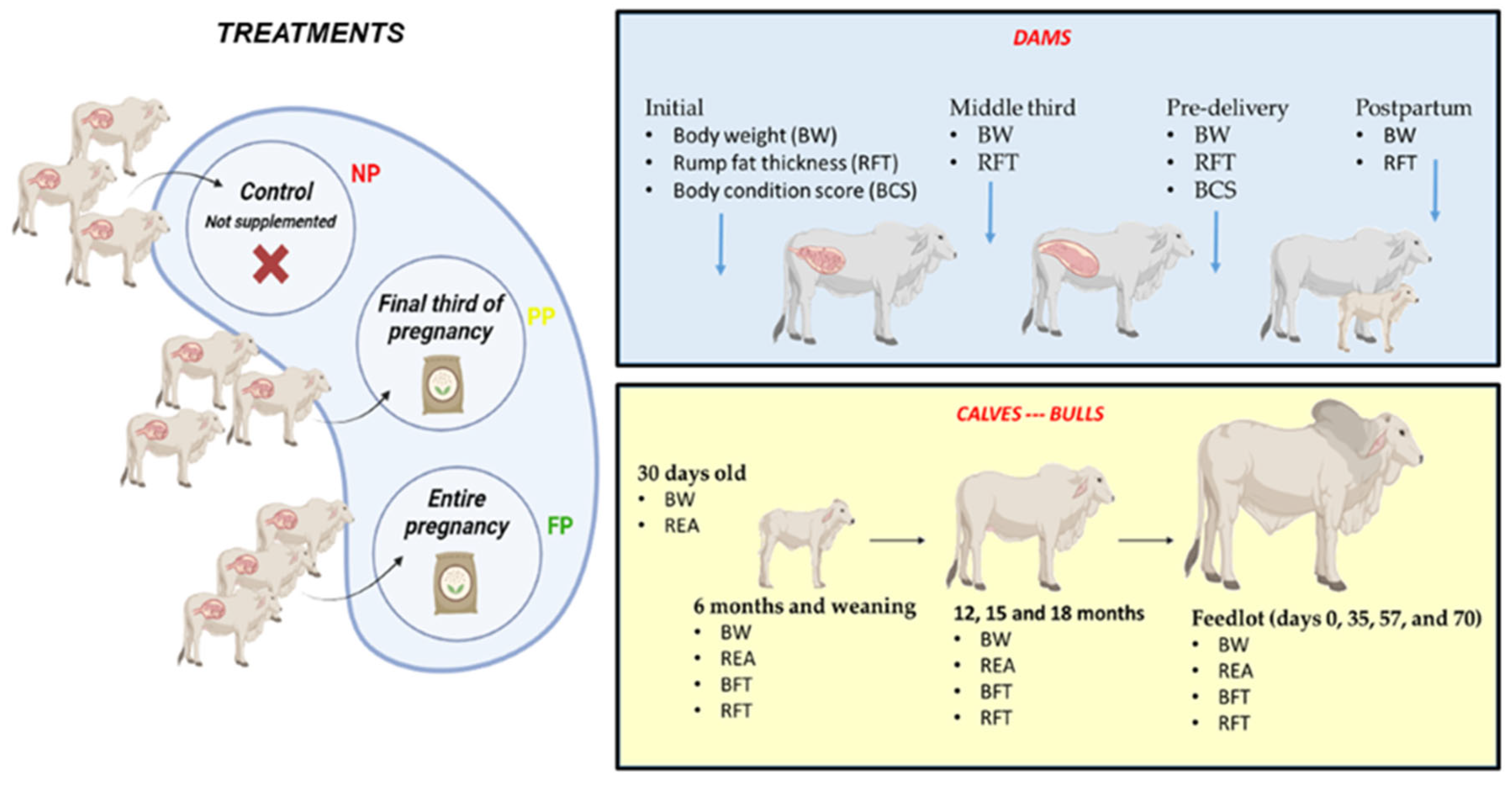 Vetsci 10 00443 g001 Vetsci 10 00443 g001