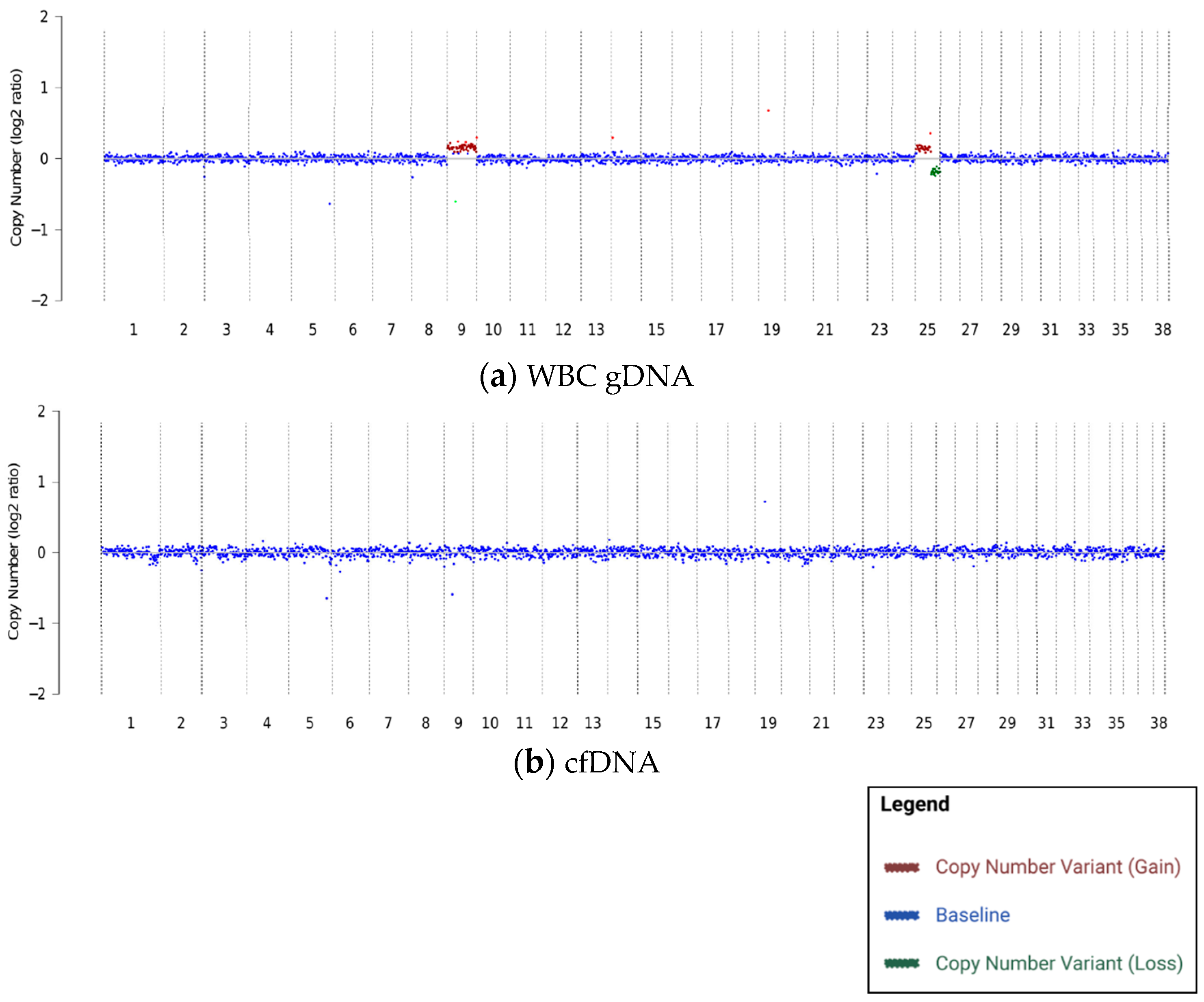 Vetsci 10 00455 g001 Vetsci 10 00455 g001