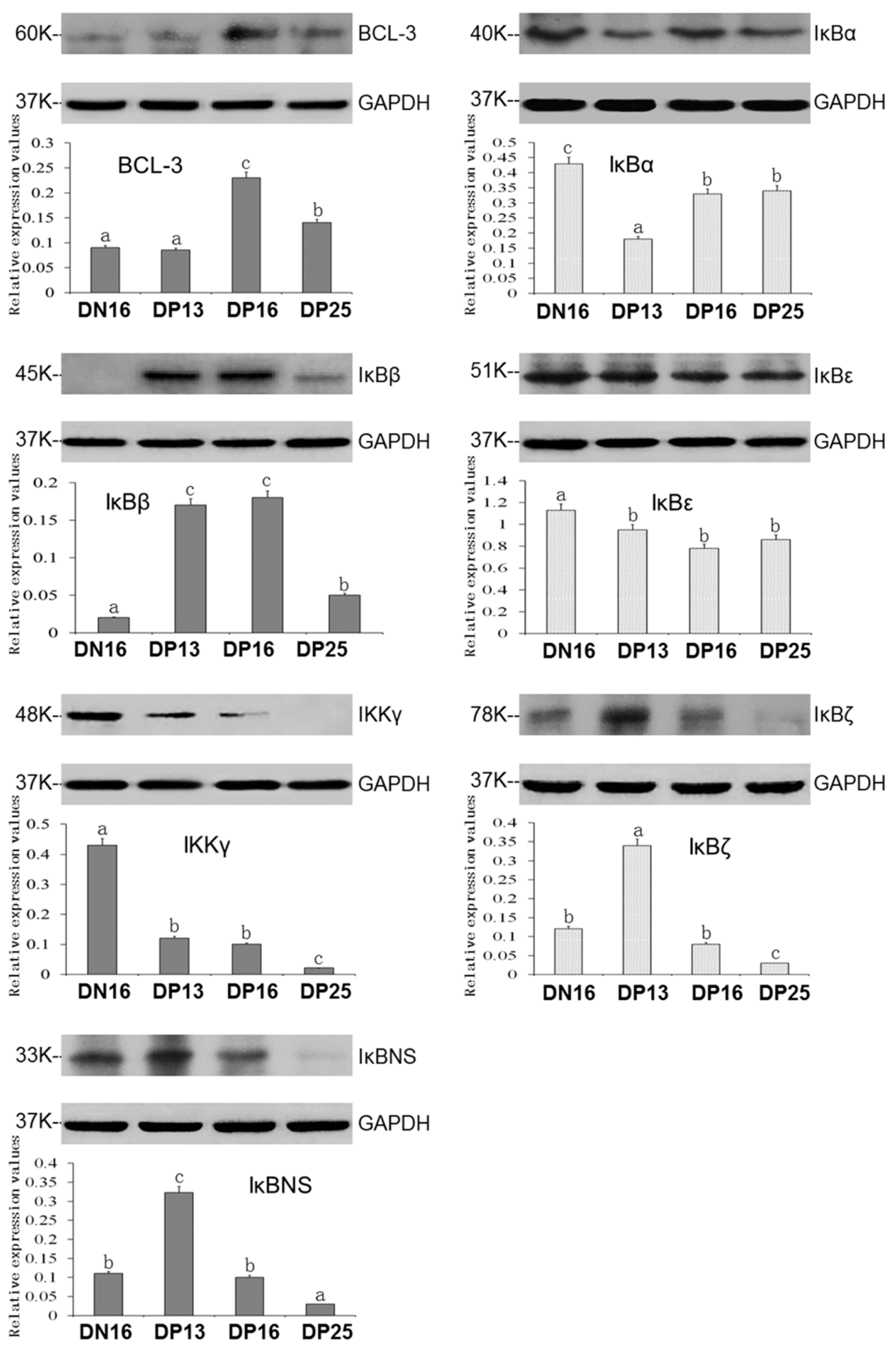 Vetsci 10 00462 g002 Vetsci 10 00462 g002