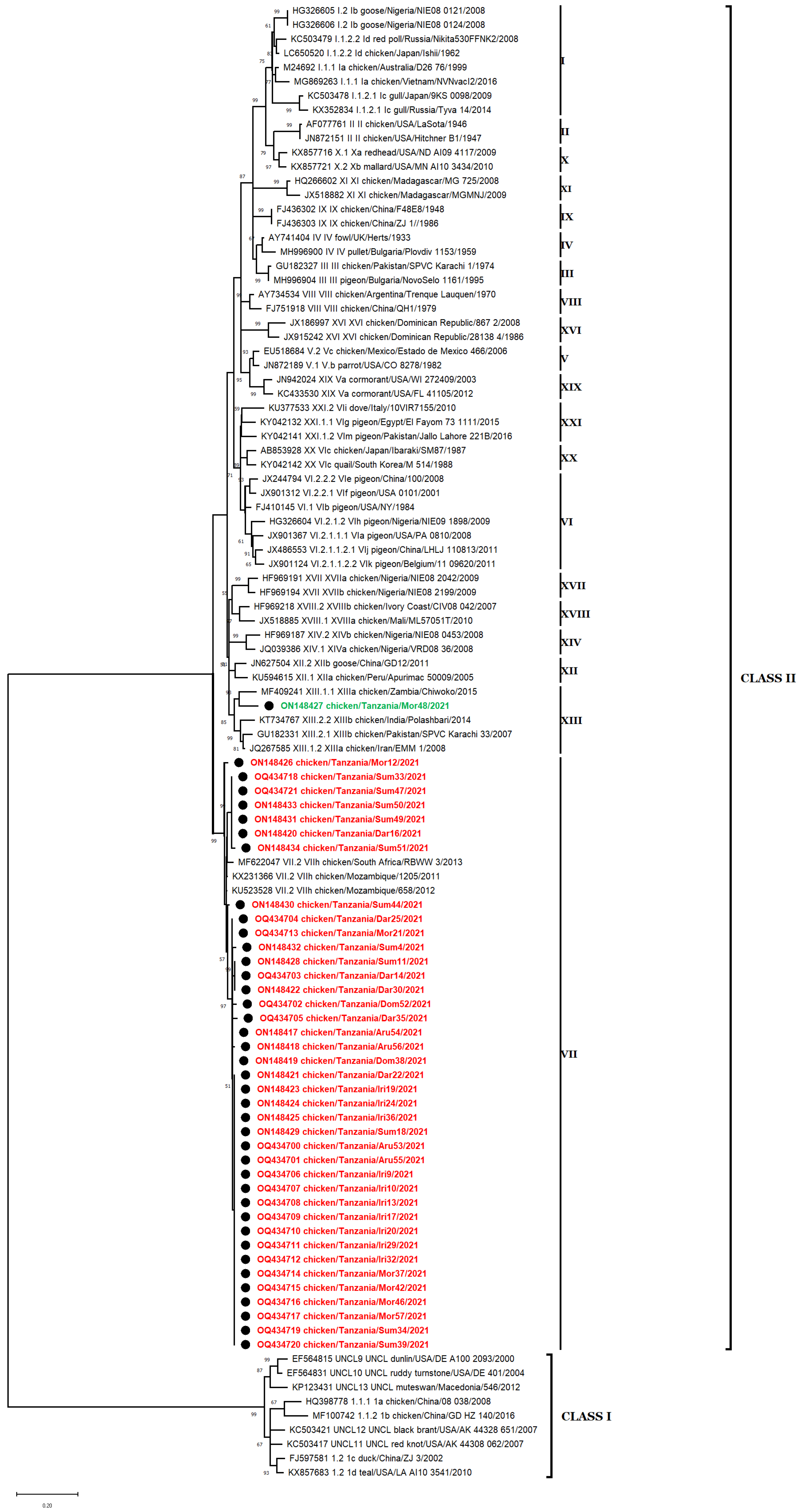 Vetsci 10 00477 g002 Vetsci 10 00477 g002