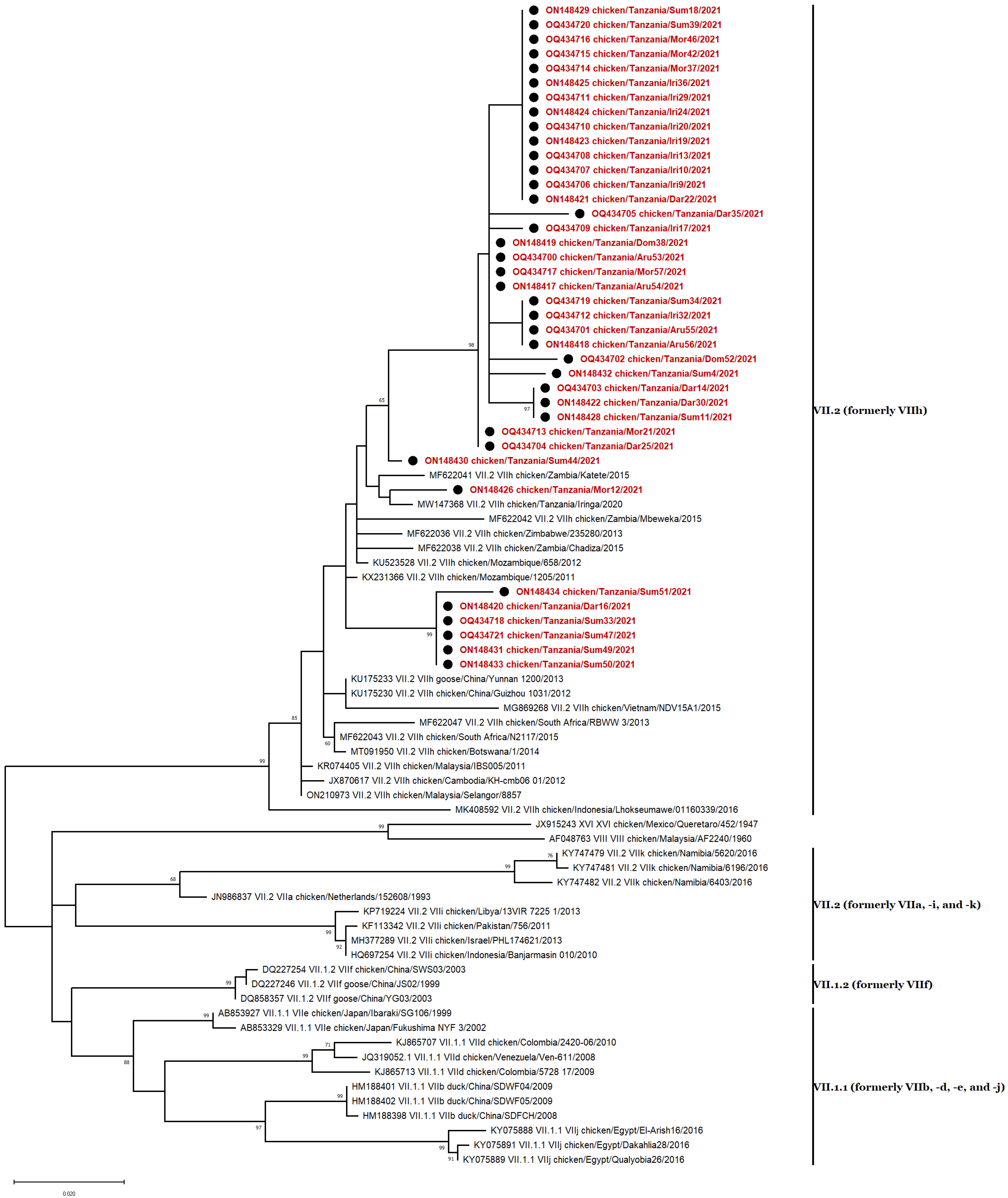 Vetsci 10 00477 g003 Vetsci 10 00477 g003