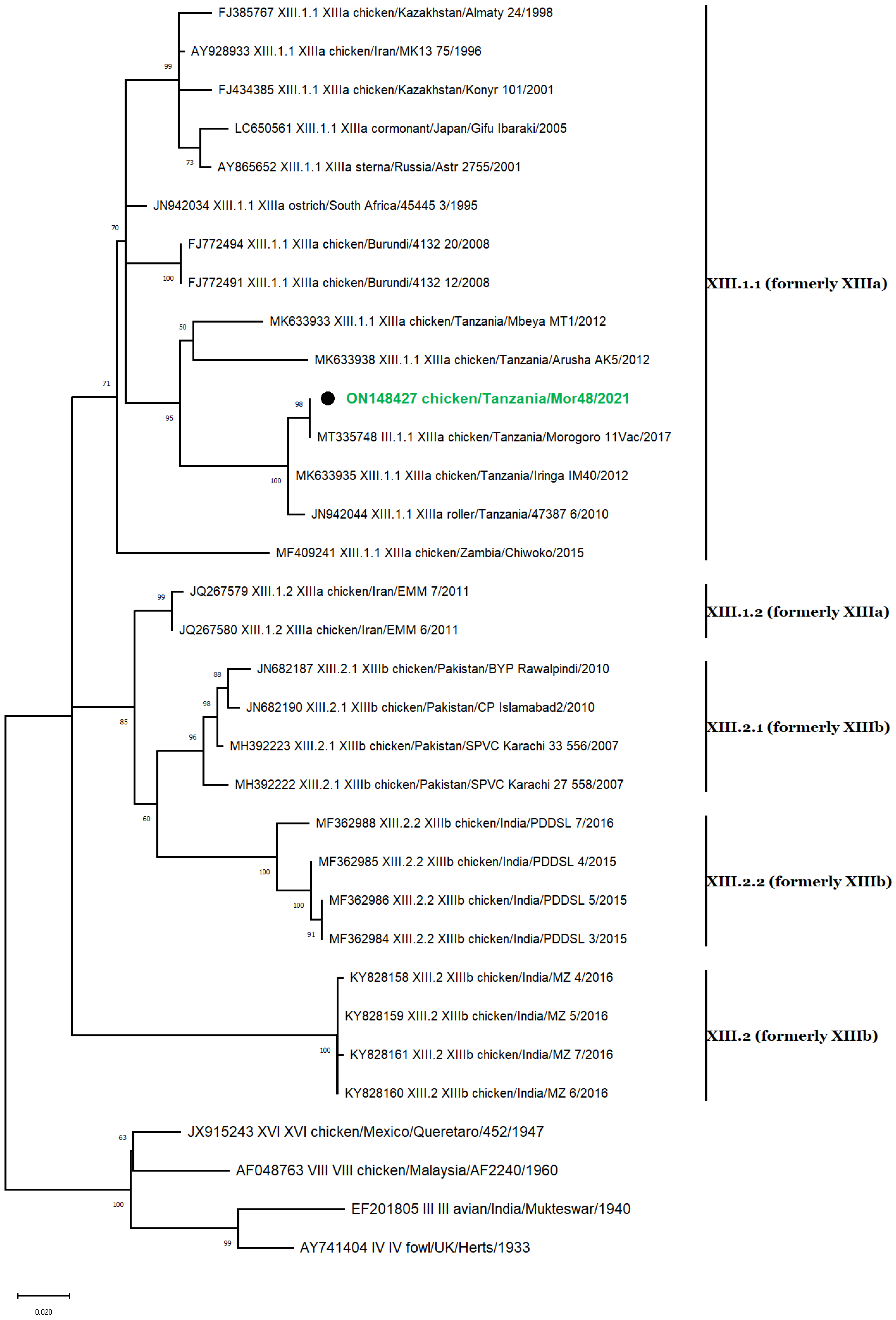 Vetsci 10 00477 g004 Vetsci 10 00477 g004
