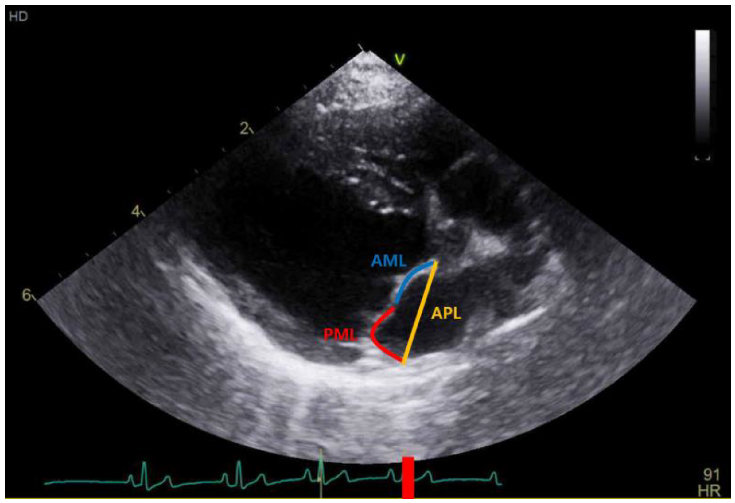 Vetsci 10 00493 g003 Vetsci 10 00493 g003