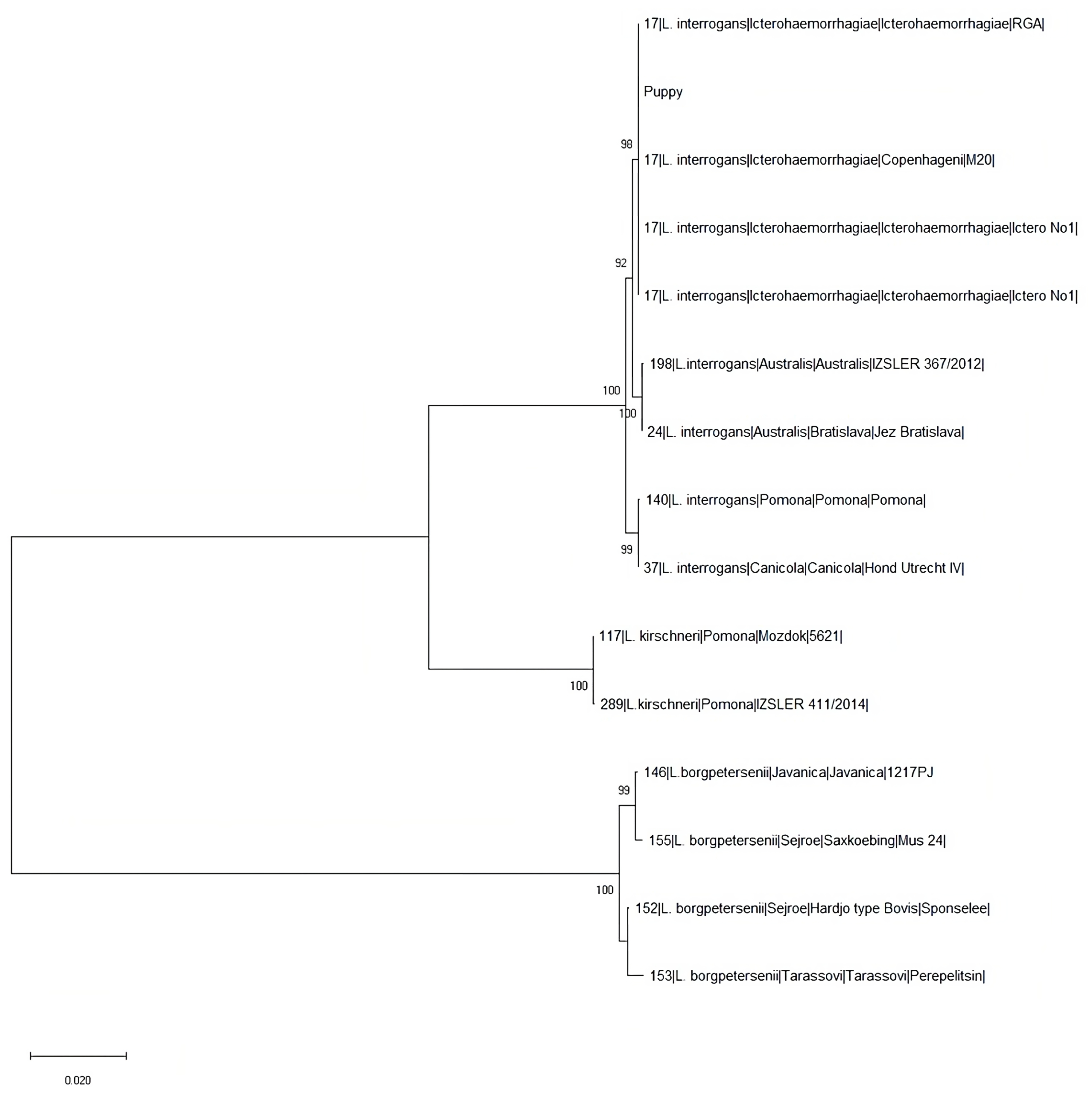 Vetsci 10 00508 g001 Vetsci 10 00508 g001