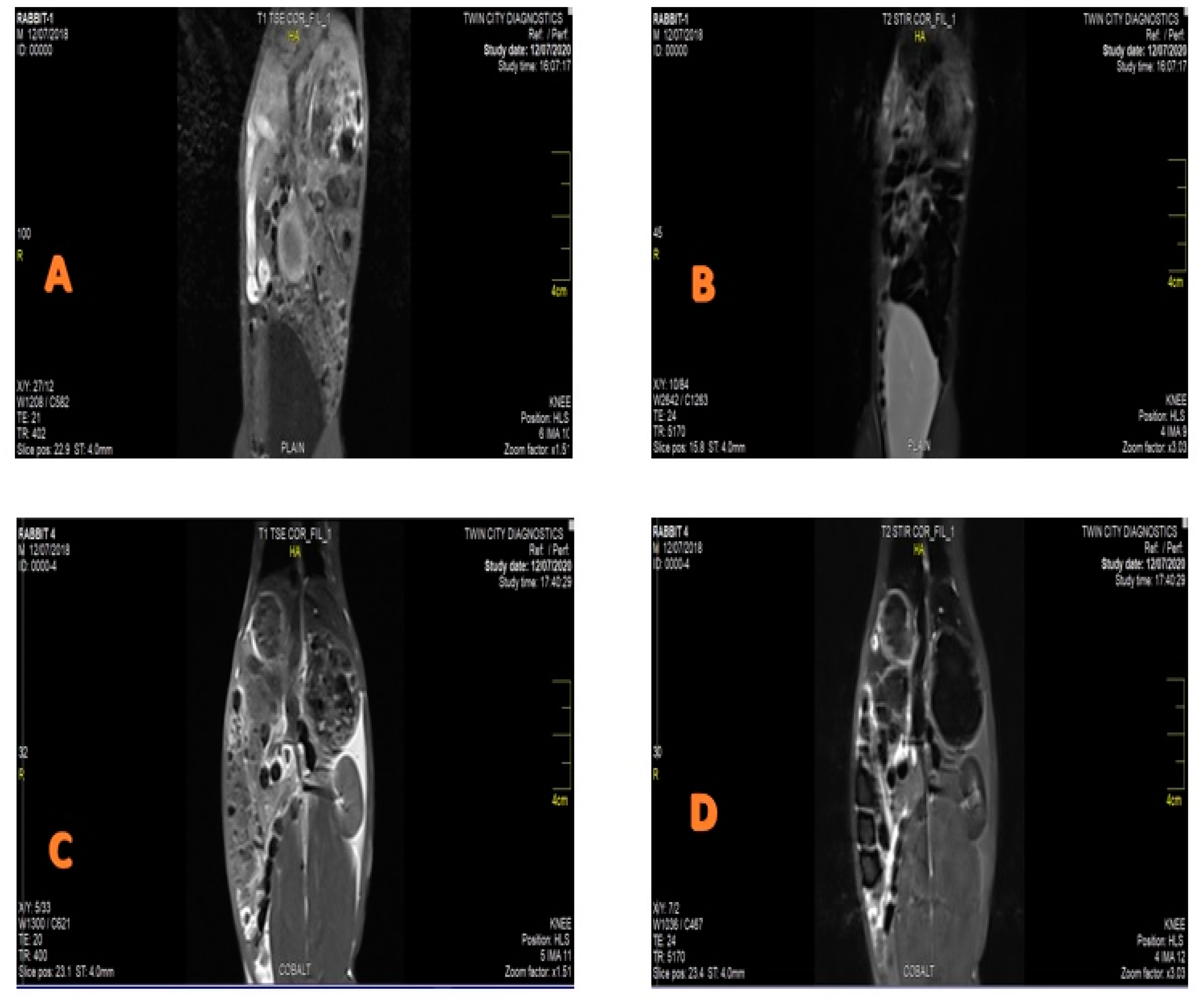Vetsci 10 00514 g003 Vetsci 10 00514 g003