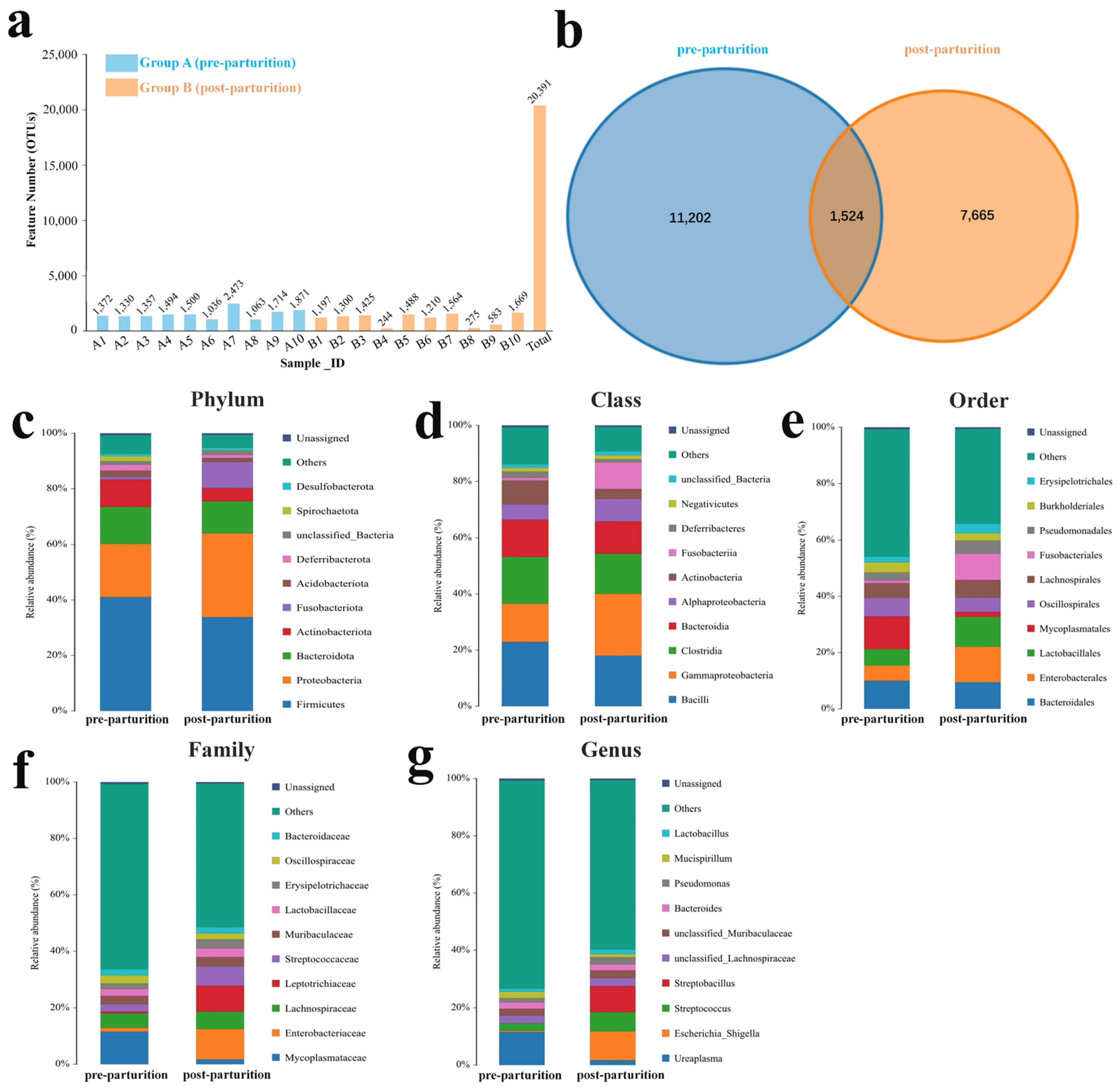 Vetsci 10 00523 g001