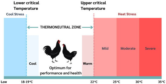 Choosing Chicken Breeds - Miller Manufacturing Company Blog