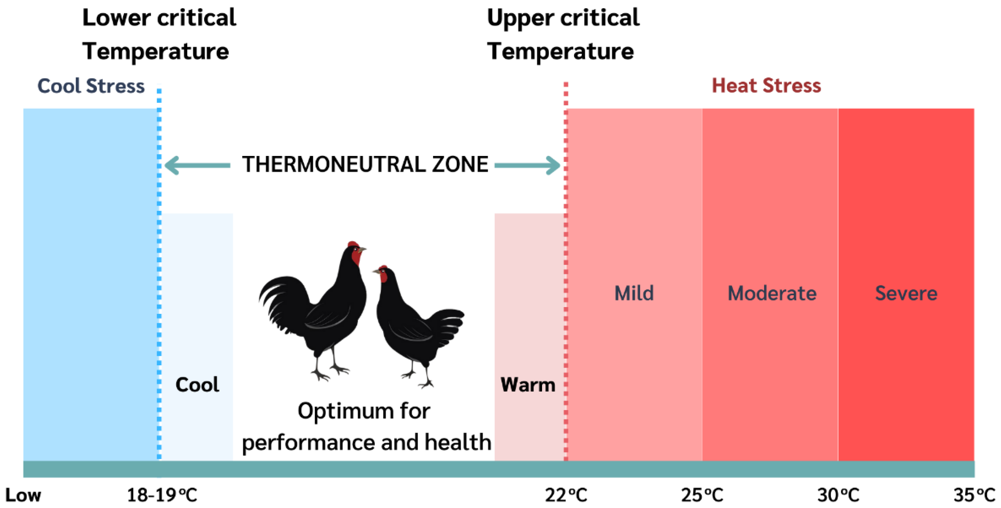 Veterinary Sciences | Free Full-Text | Appropriate Genetic Approaches for  Heat Tolerance and Maintaining Good Productivity in Tropical Poultry  Production: A Review