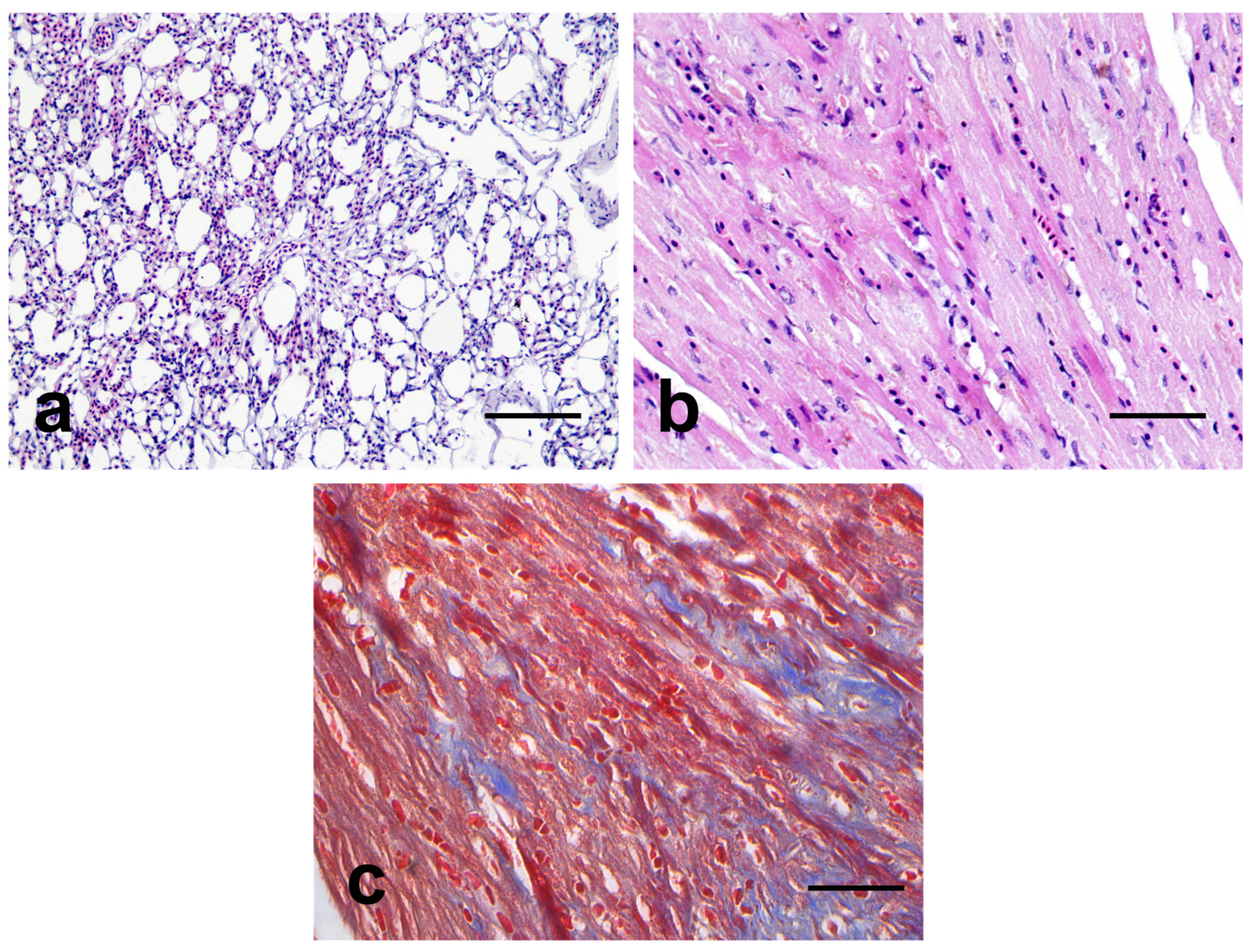 Vetsci 10 00626 g004