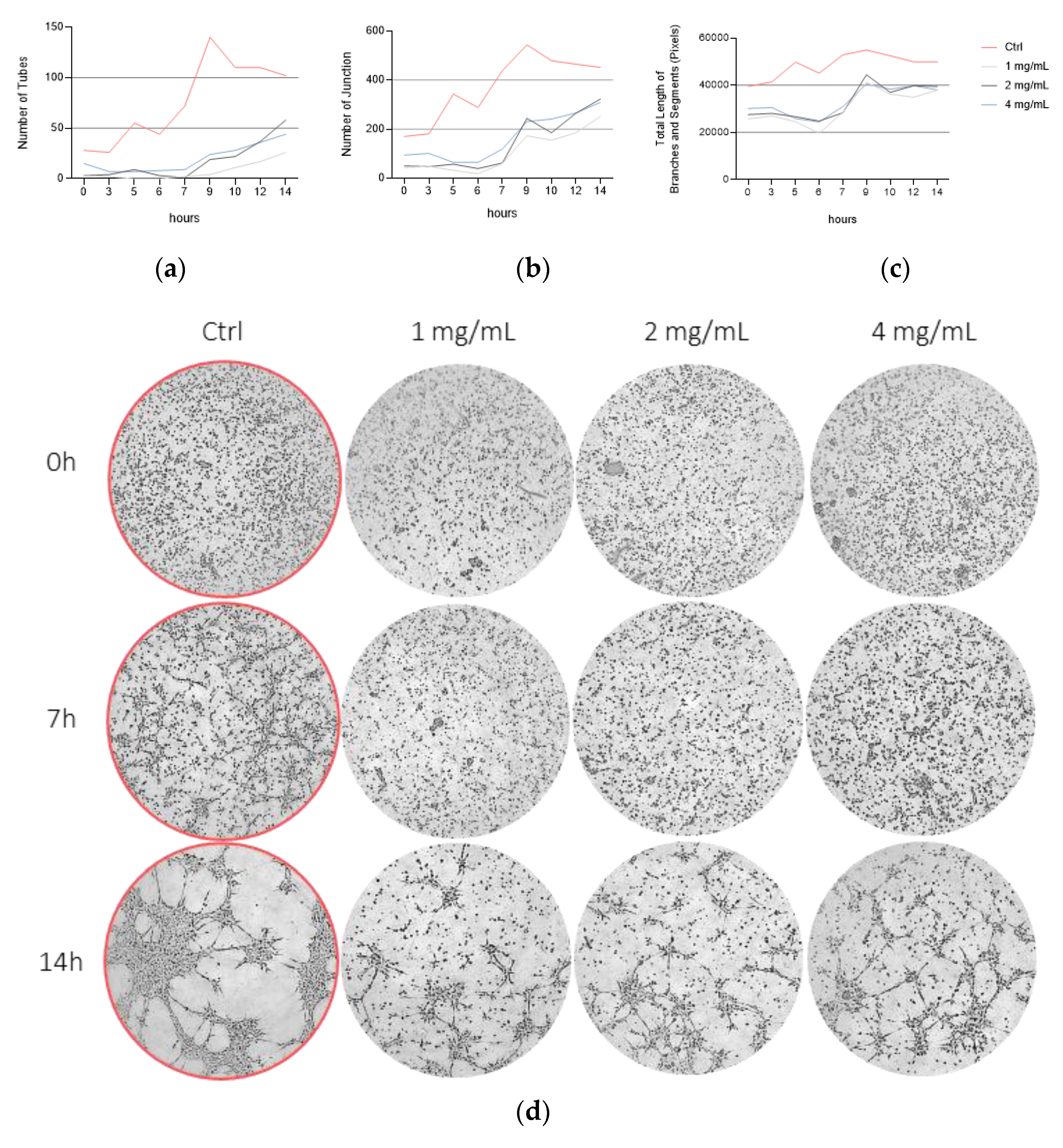 Vetsci 10 00632 g004