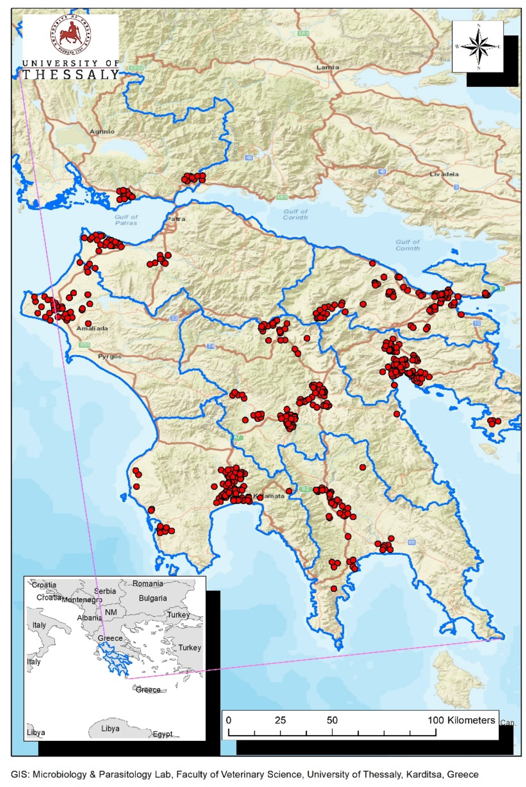 Vetsci 10 00661 g001