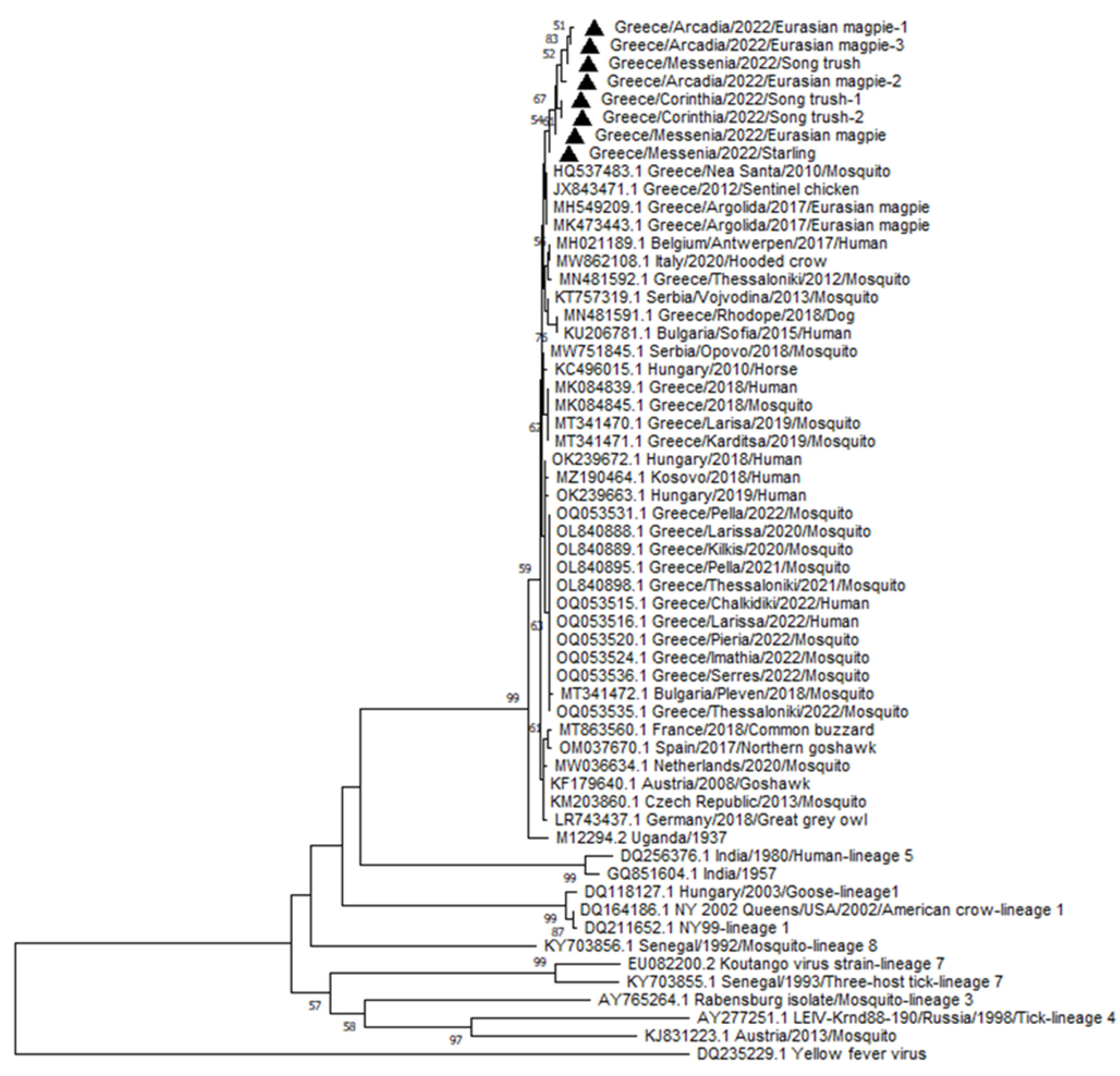 Vetsci 10 00661 g003