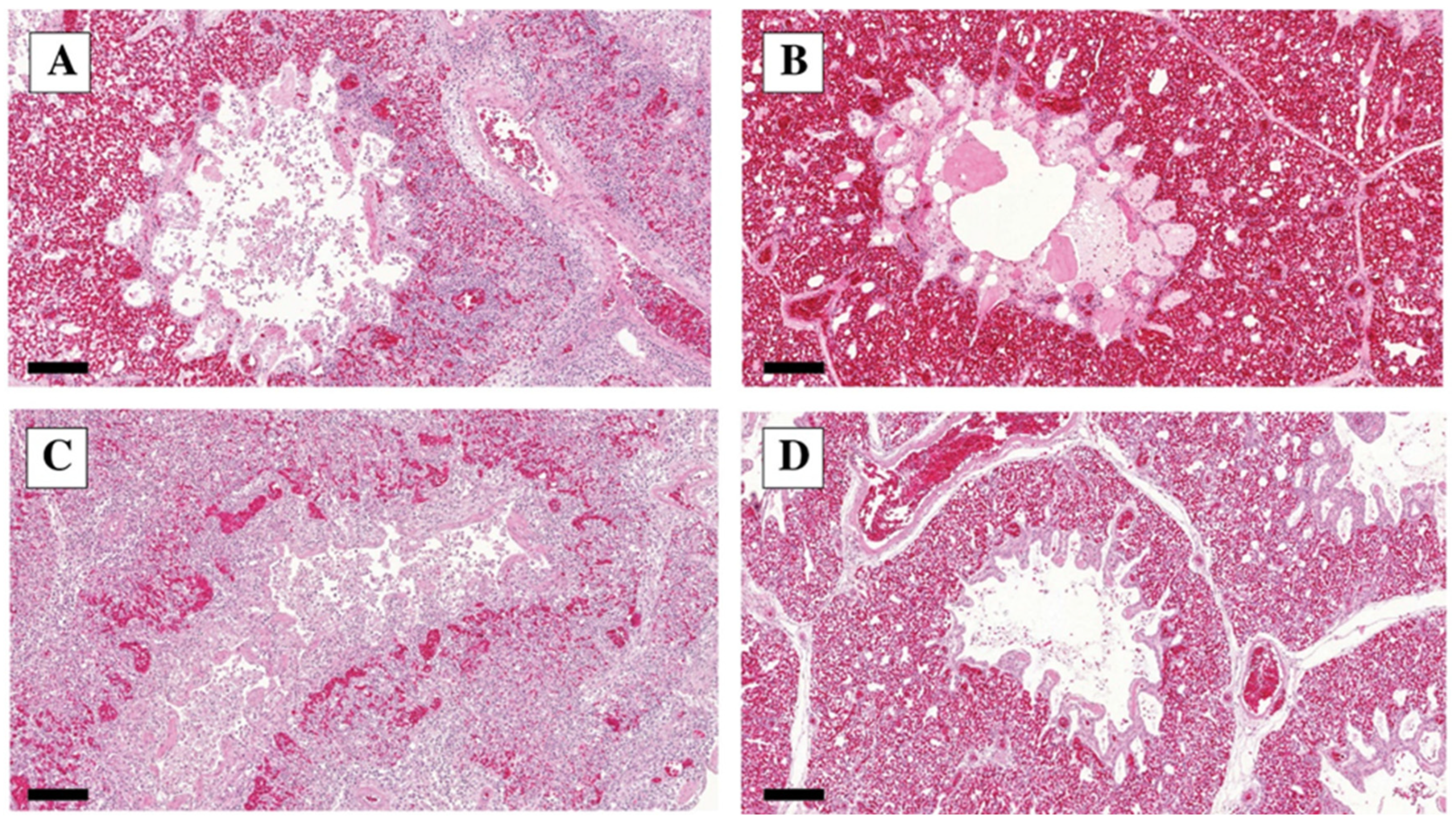 Vetsci 10 00671 g004 Vetsci 10 00671 g004