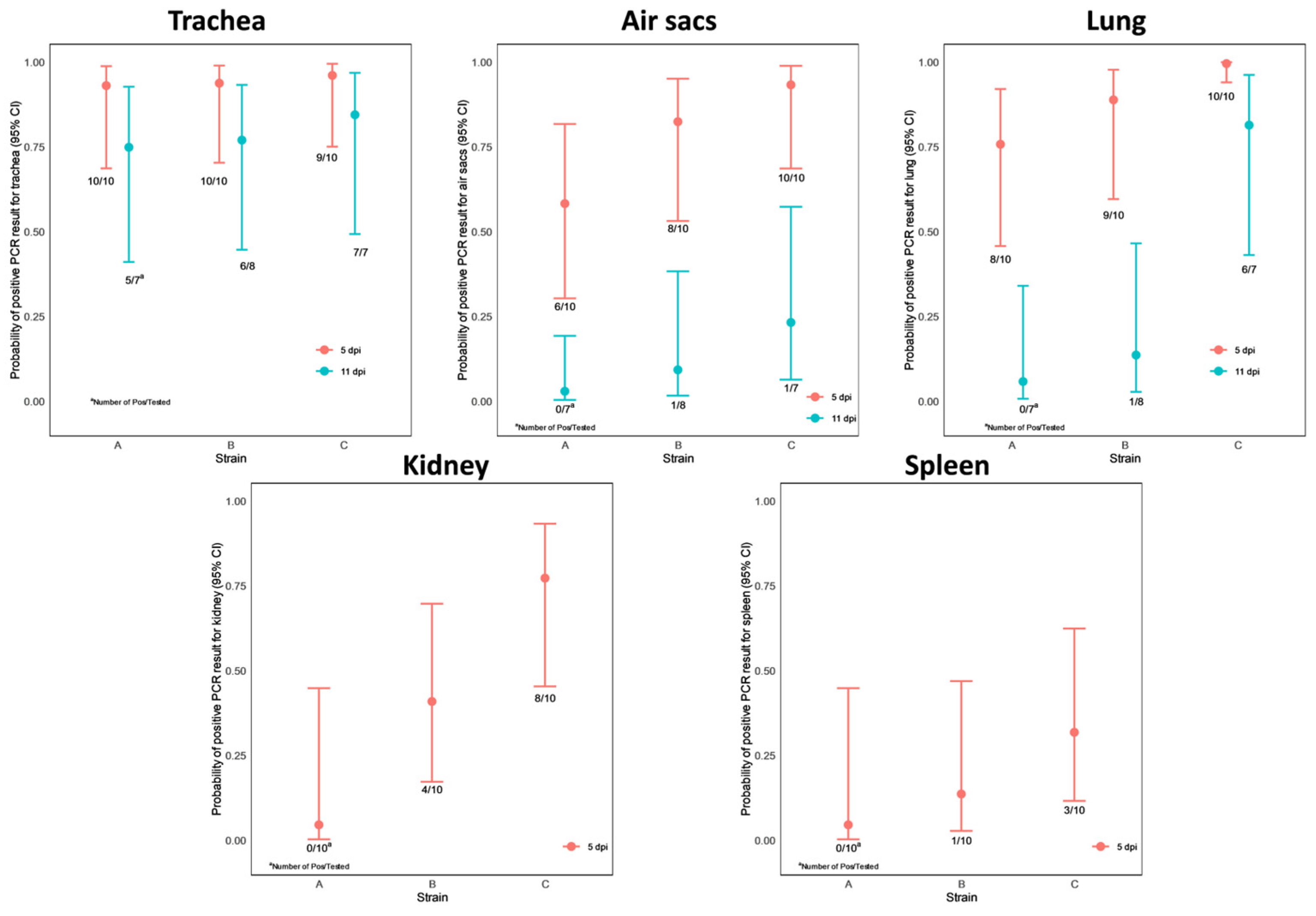 Vetsci 10 00671 g008 Vetsci 10 00671 g008