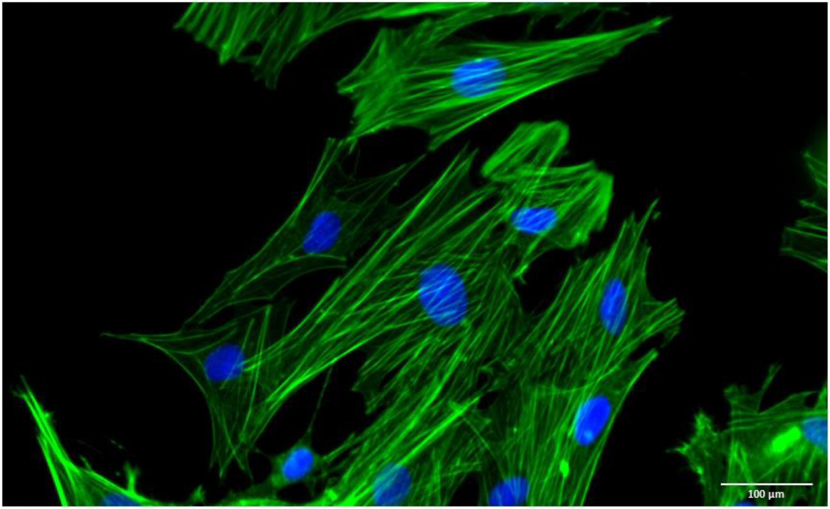 Vetsci 10 00673 g001