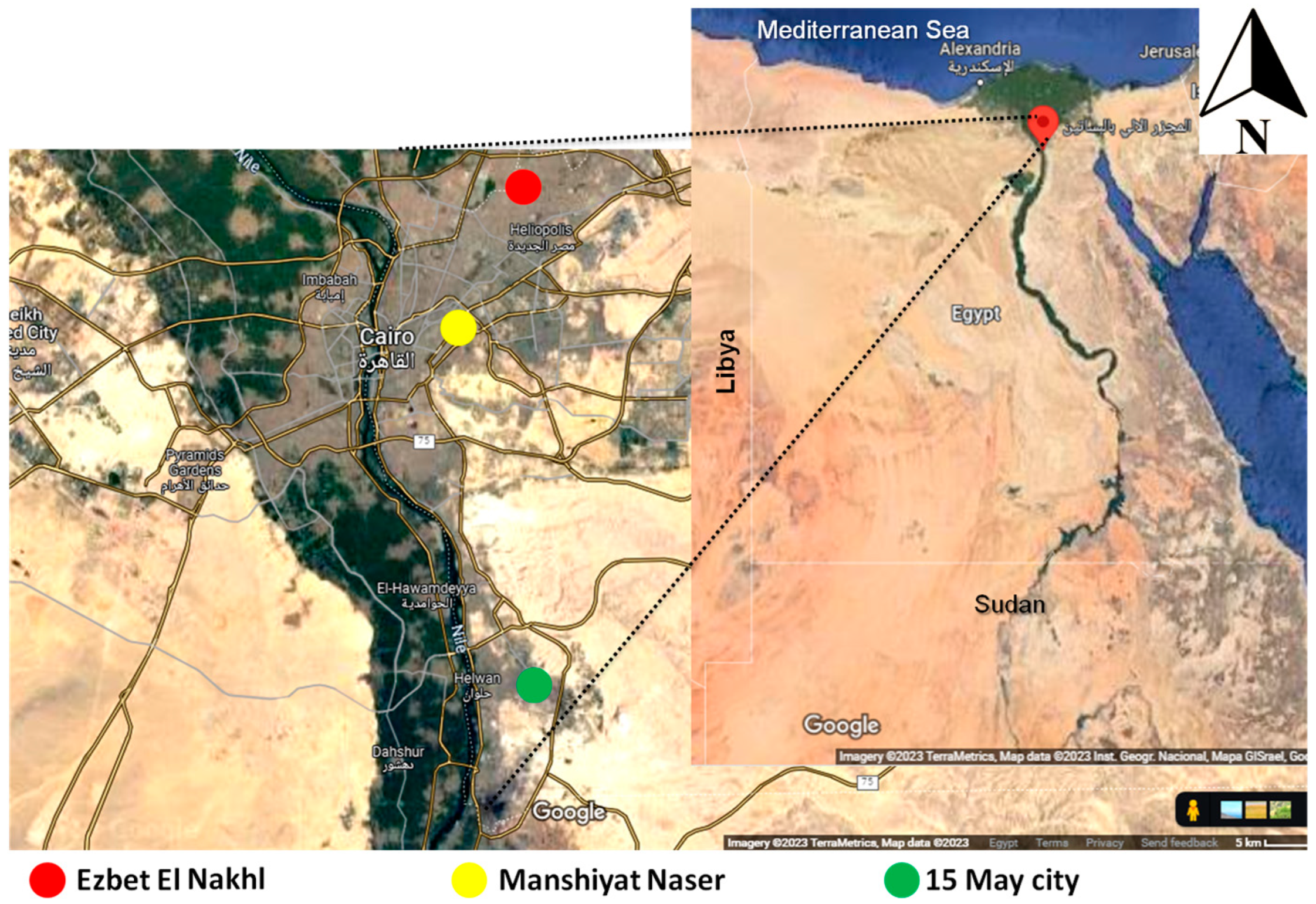 Vetsci 10 00675 g001