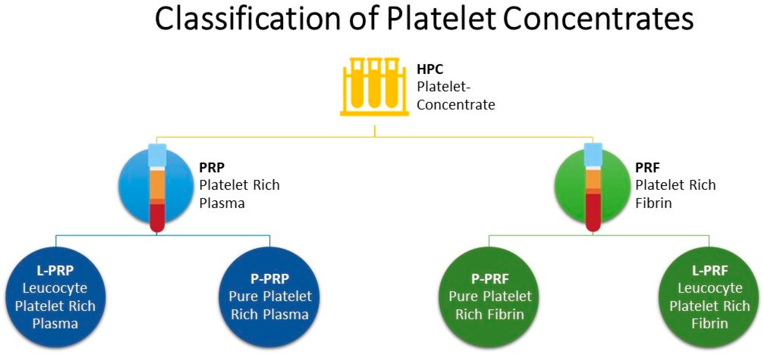 Vetsci 10 00686 g001 Vetsci 10 00686 g001