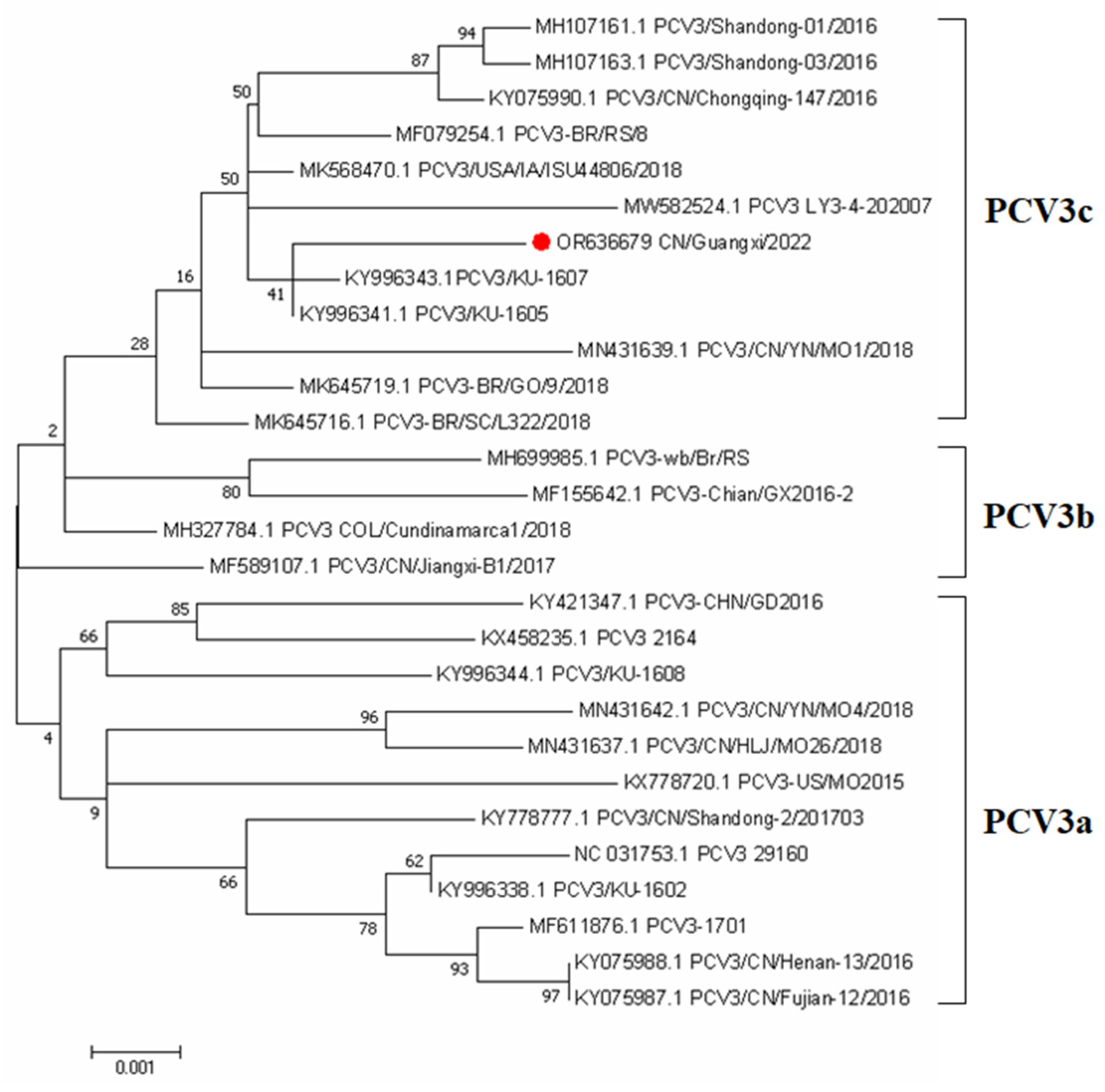 Vetsci 10 00689 g001