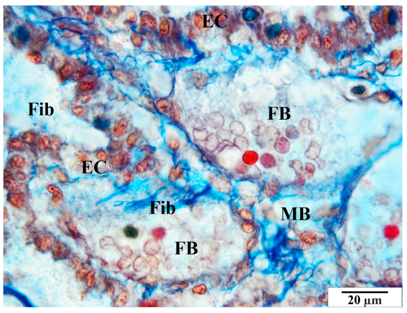 Vetsci 11 00018 g008 Vetsci 11 00018 g008
