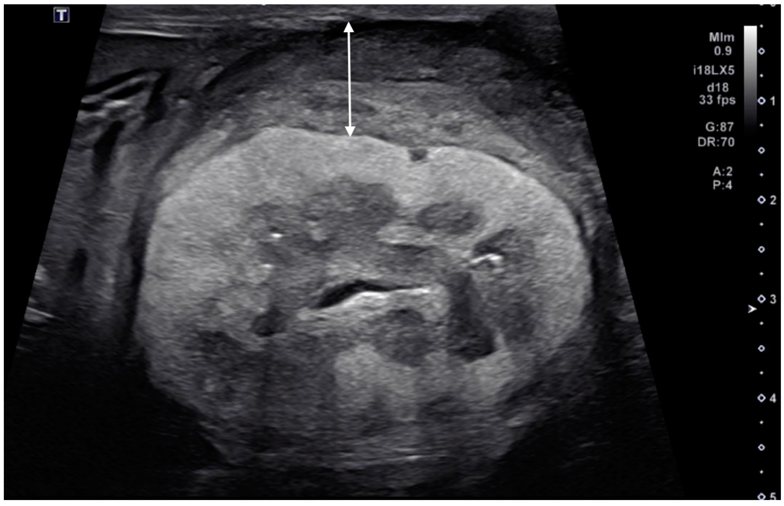 Vetsci 11 00134 g002