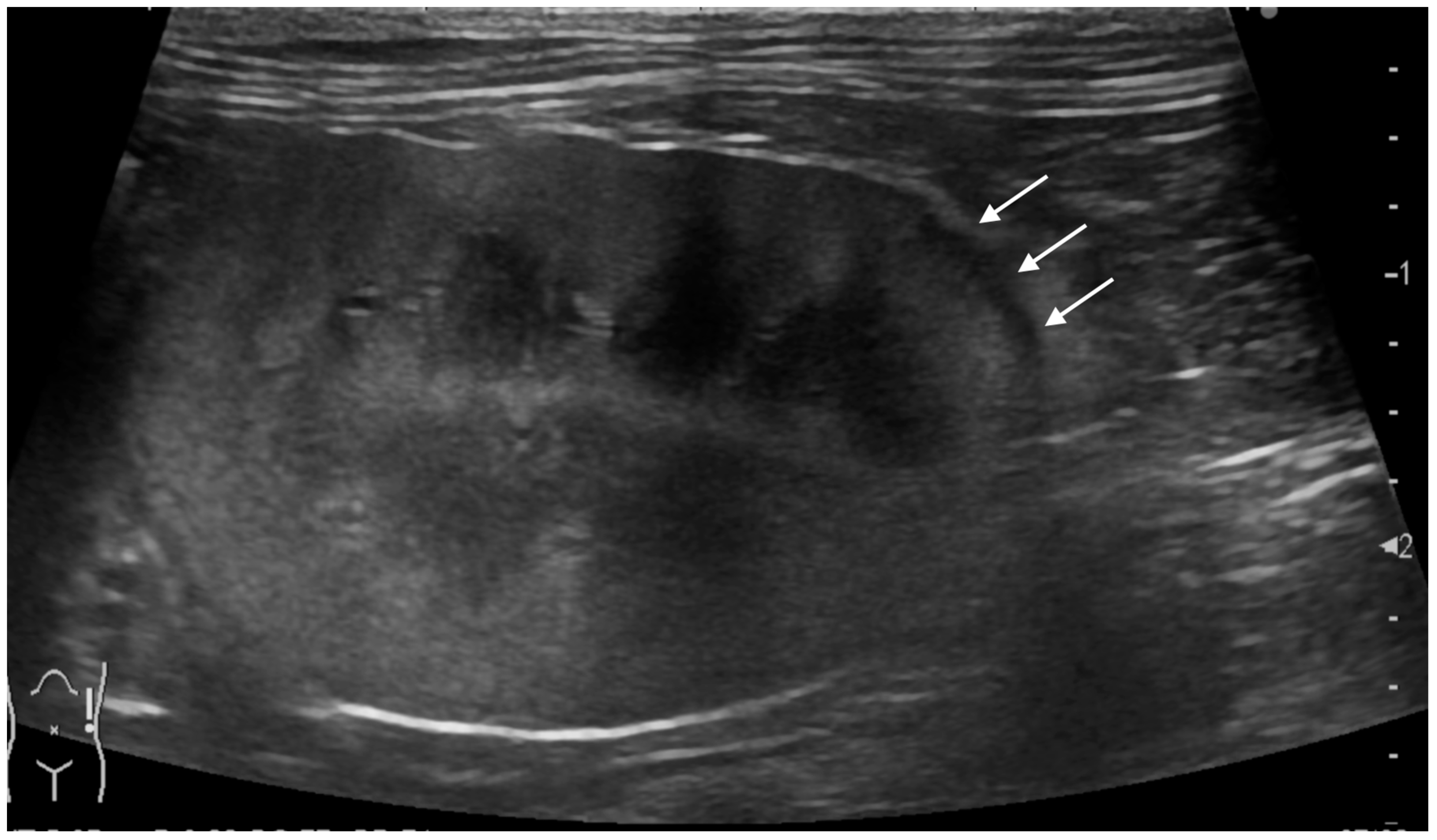 Vetsci 11 00134 g003