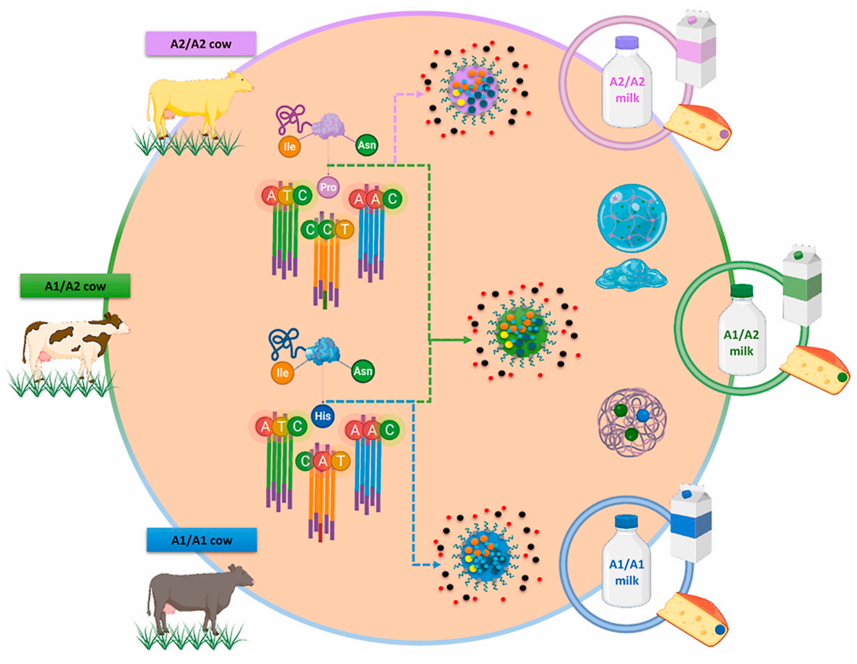 Vetsci 11 00172 g001