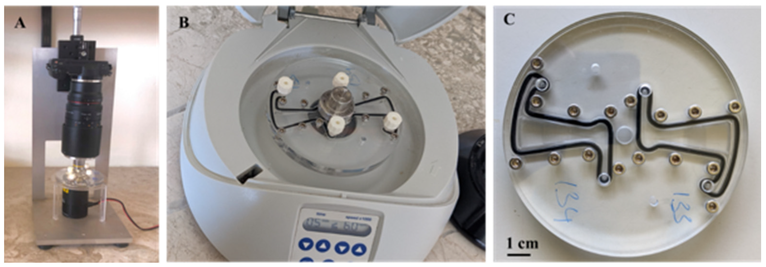 Vetsci 11 00174 g002