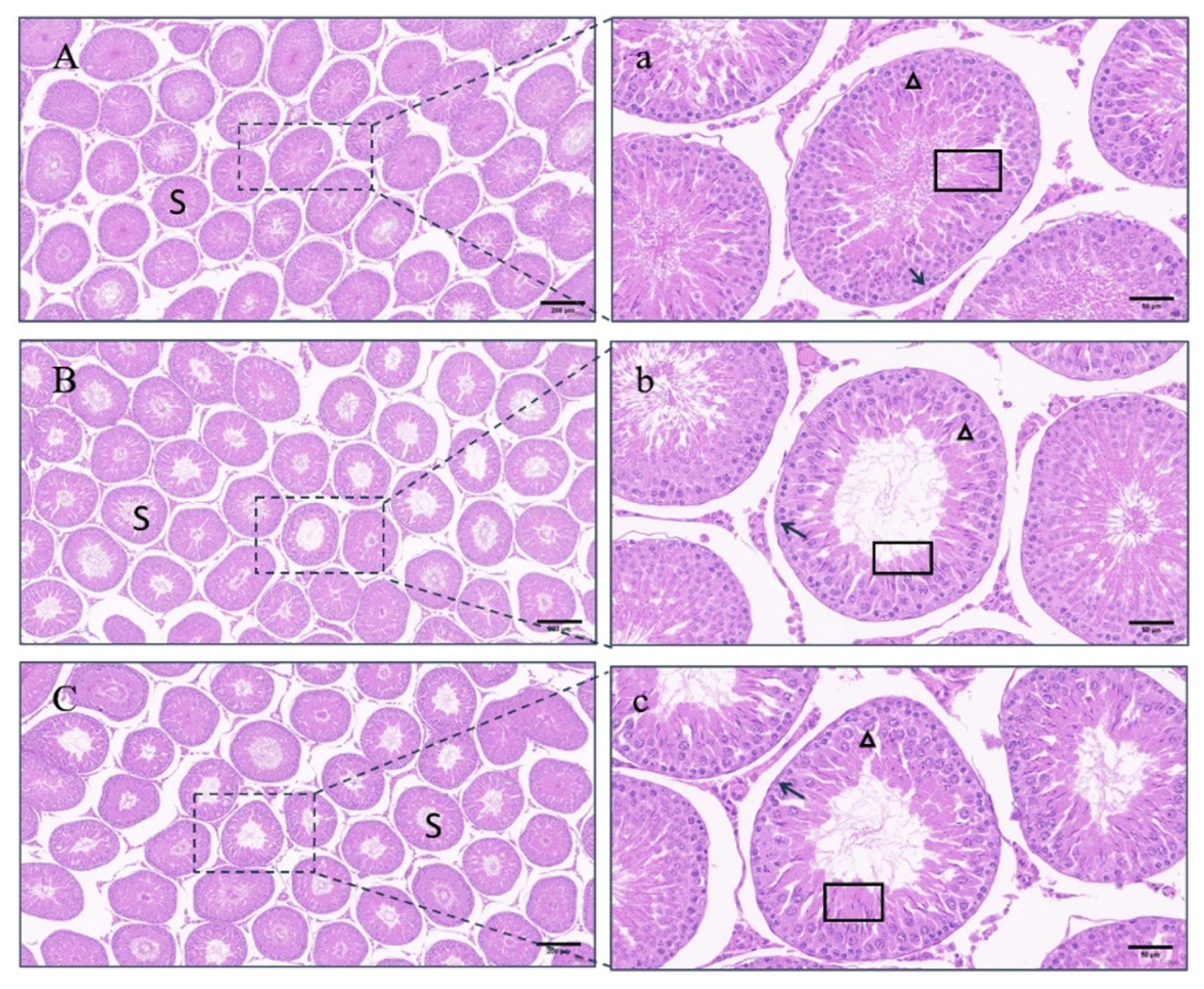 Vetsci 11 00176 g005 Vetsci 11 00176 g005