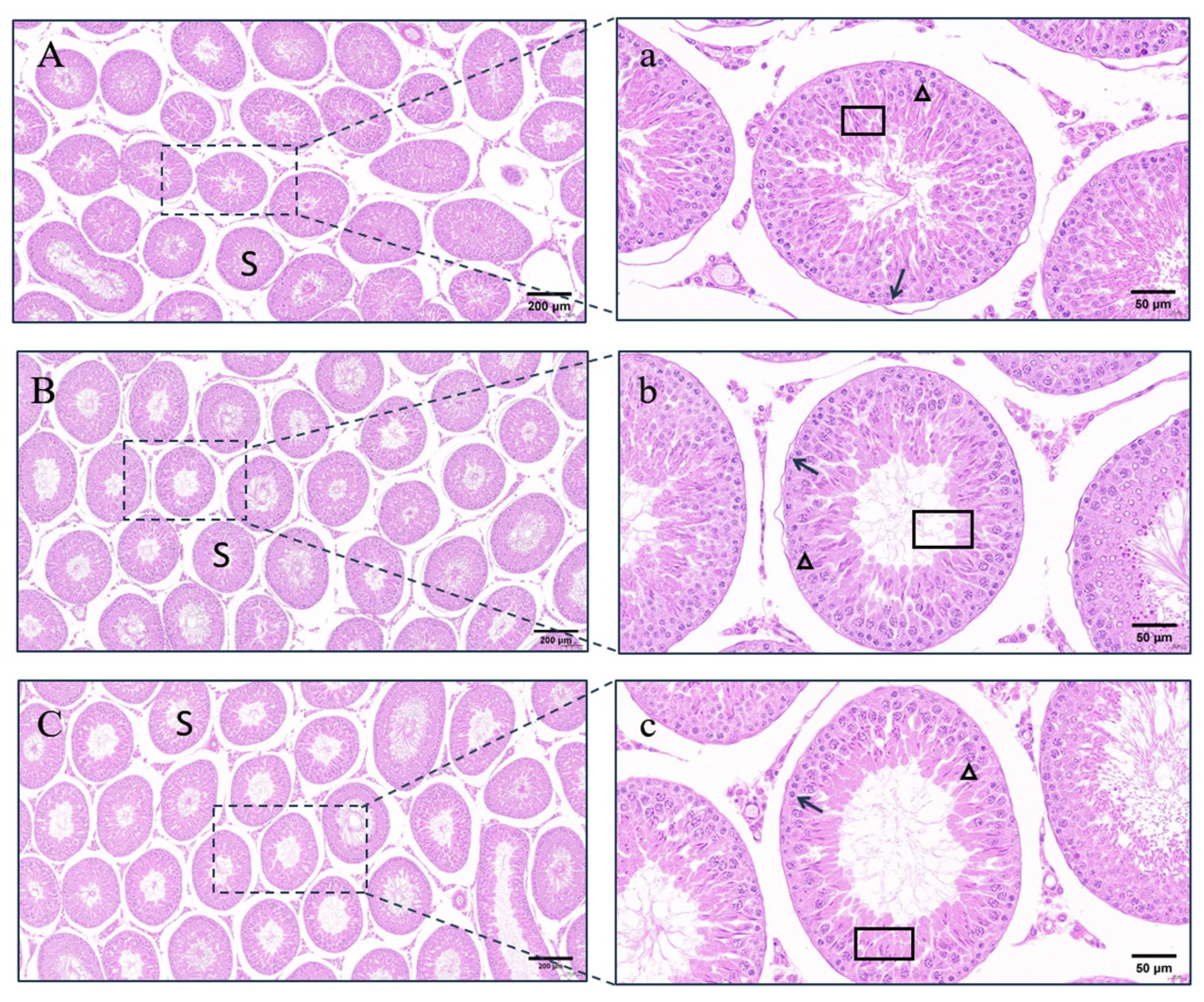 Vetsci 11 00176 g006 Vetsci 11 00176 g006