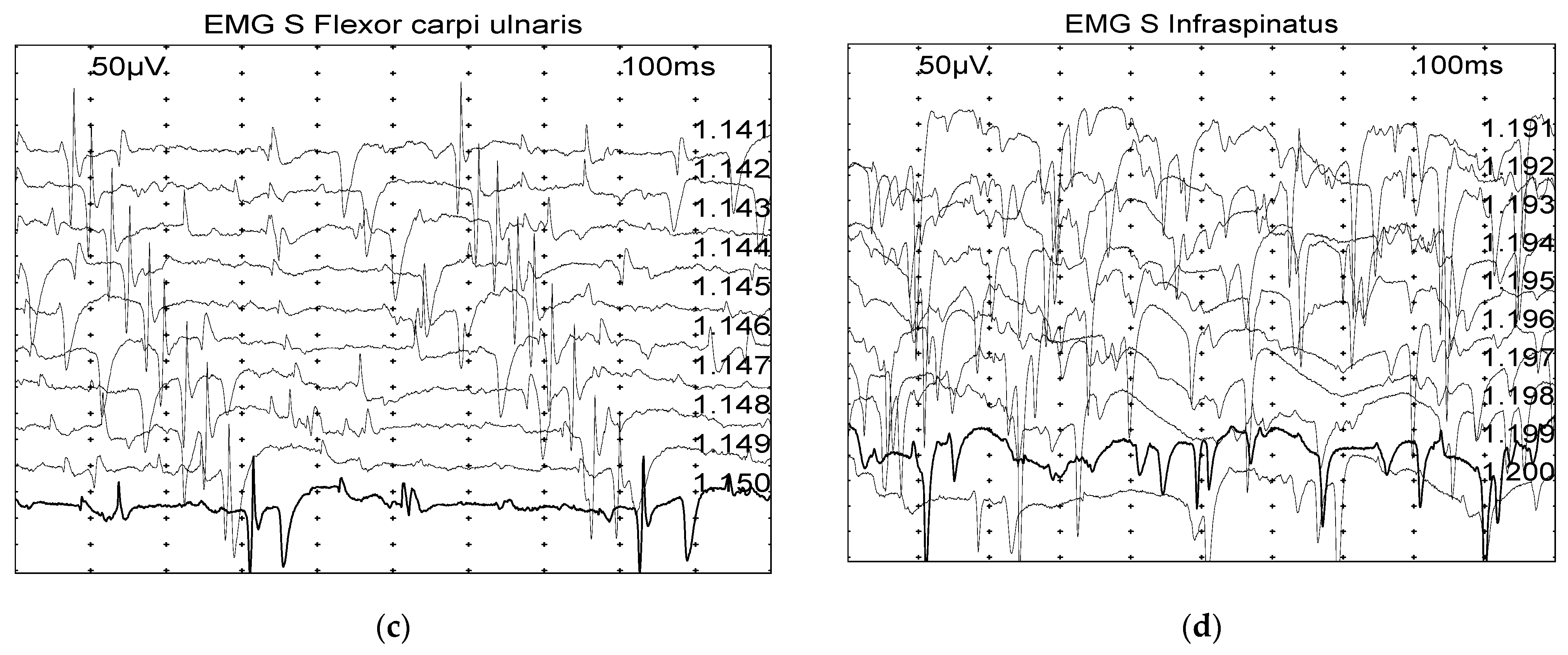 Vetsci 11 00178 g001b Vetsci 11 00178 g001b