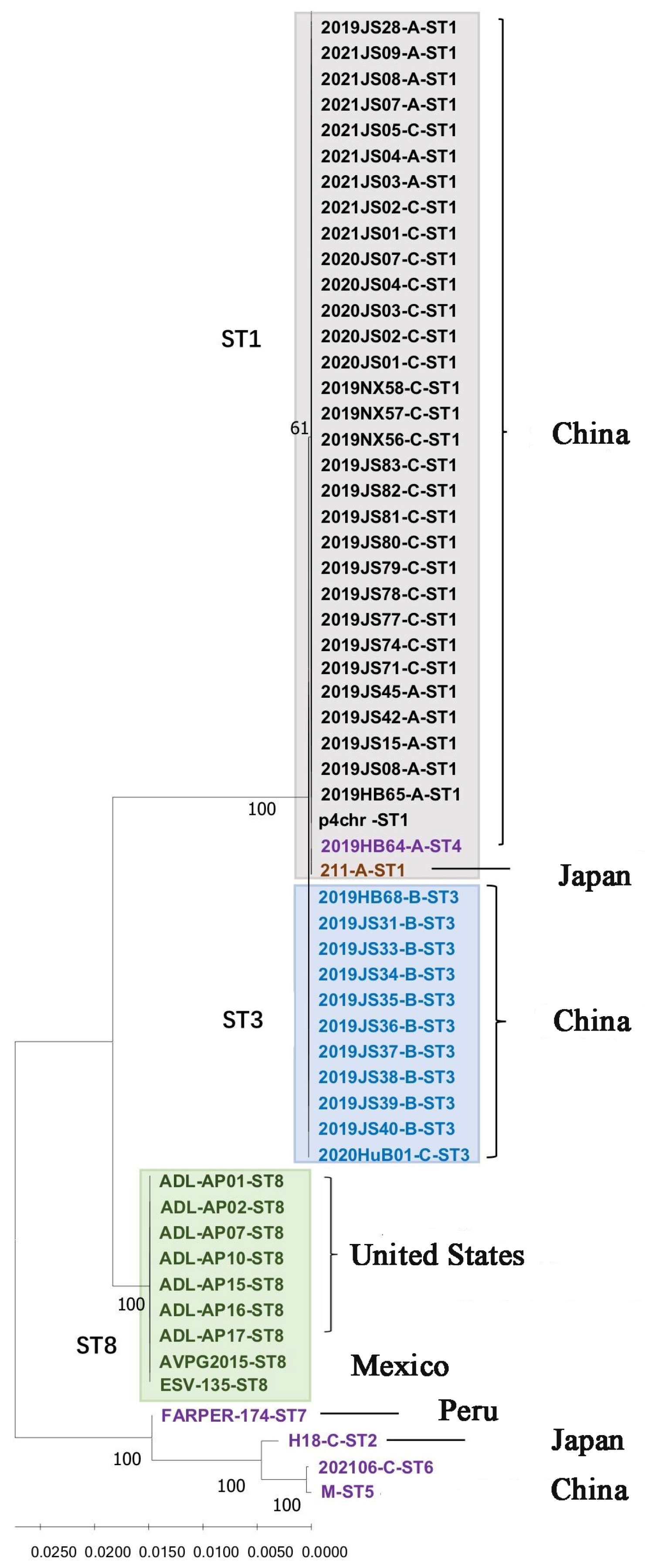 Vetsci 11 00208 g001