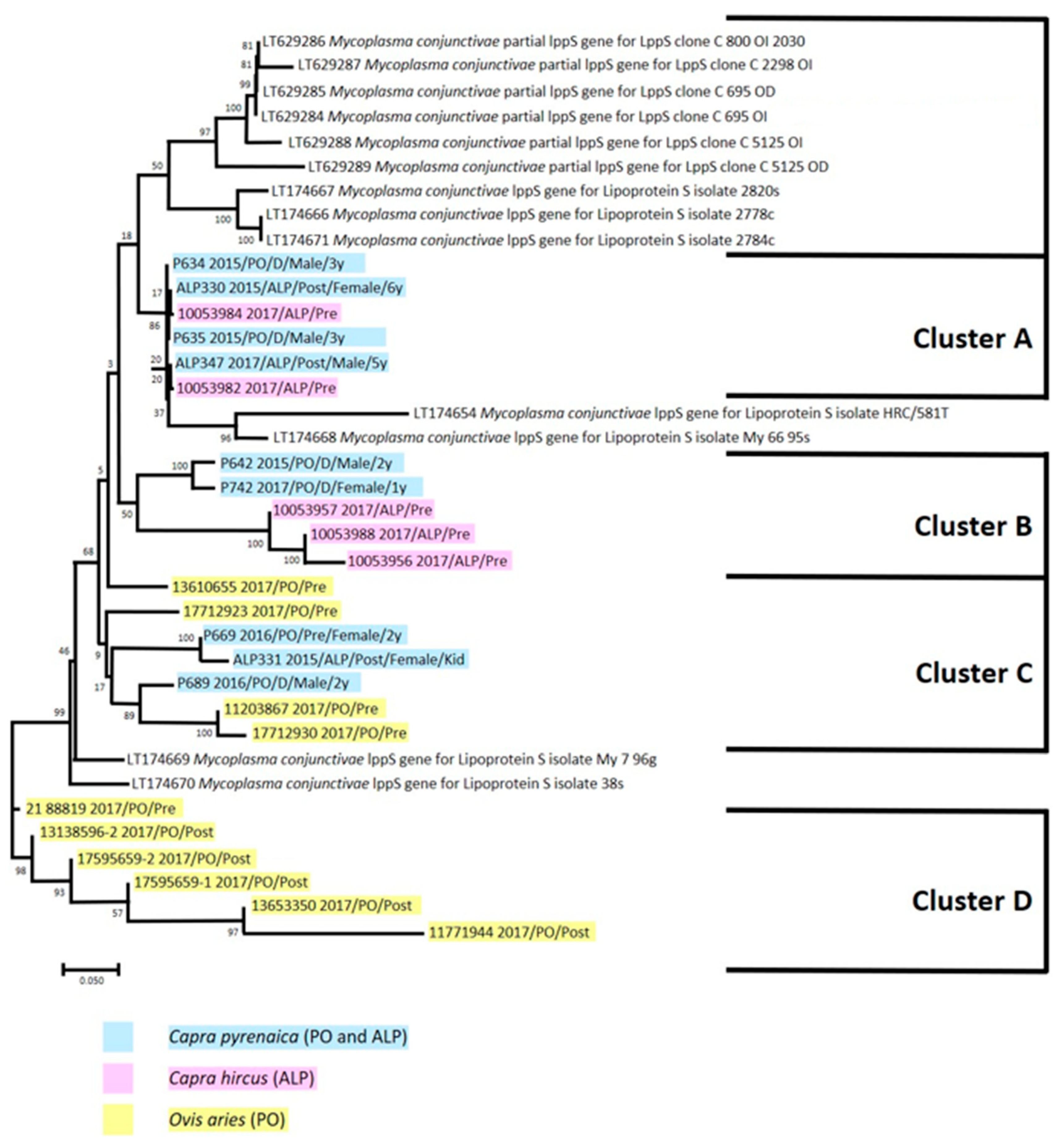 Vetsci 11 00217 g003 Vetsci 11 00217 g003