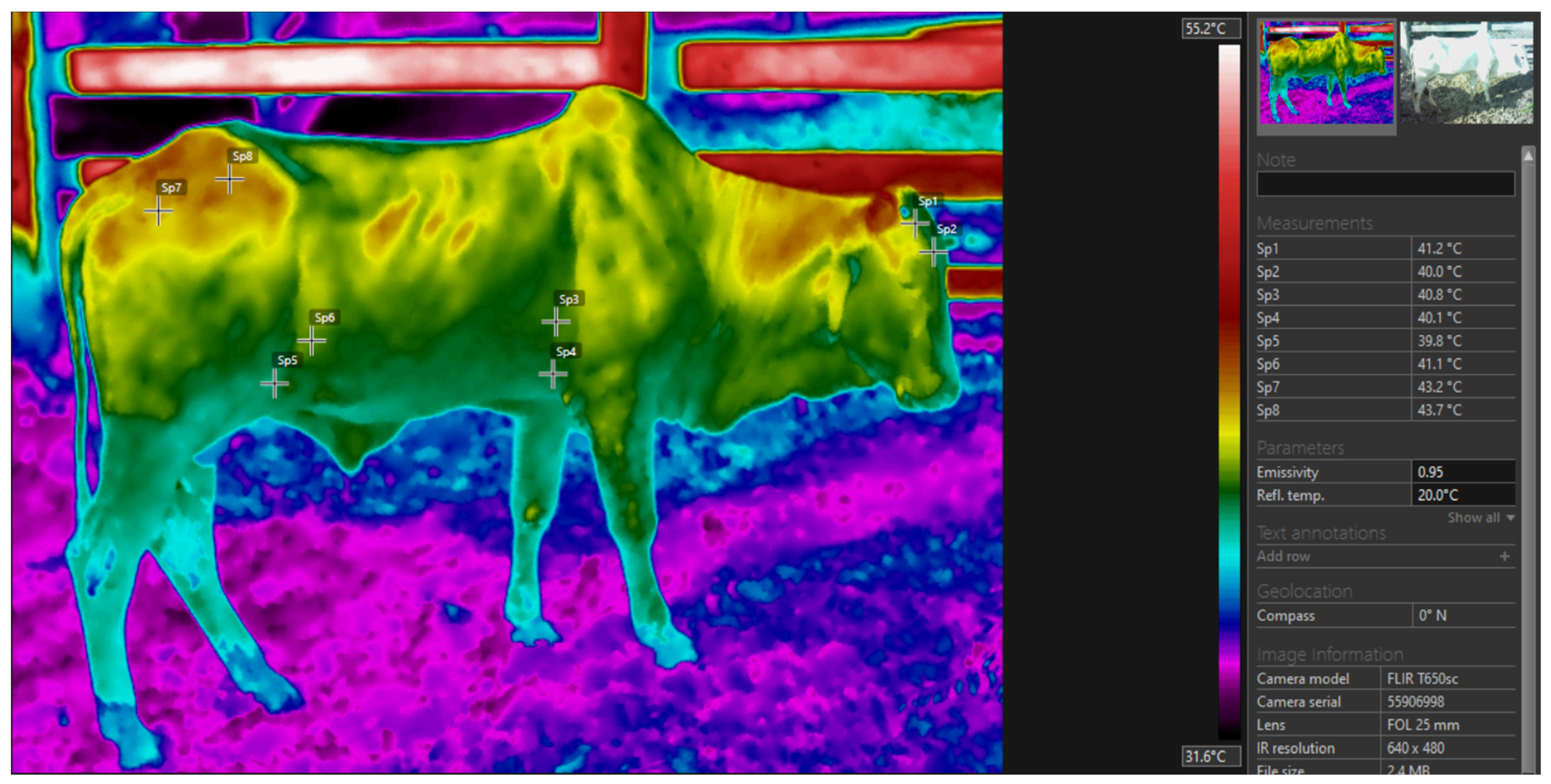 Vetsci 11 00236 g002