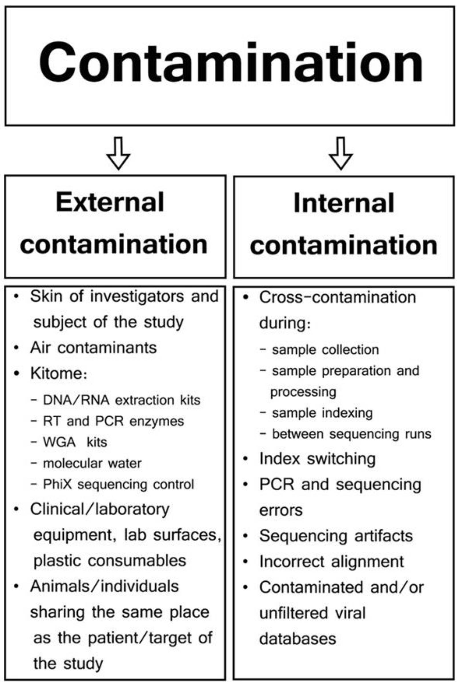 Vetsci 11 00239 g002