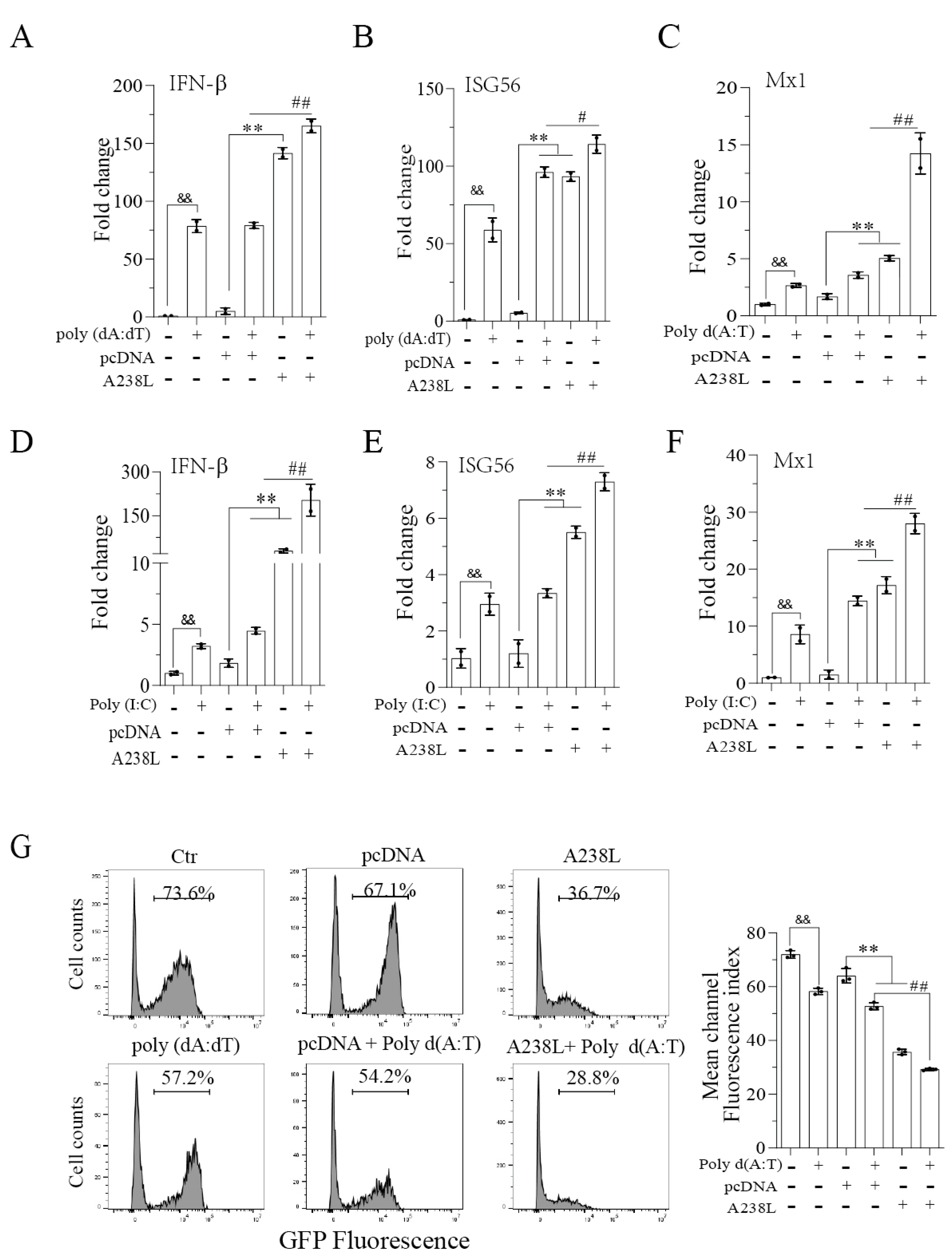 Vetsci 11 00252 g002