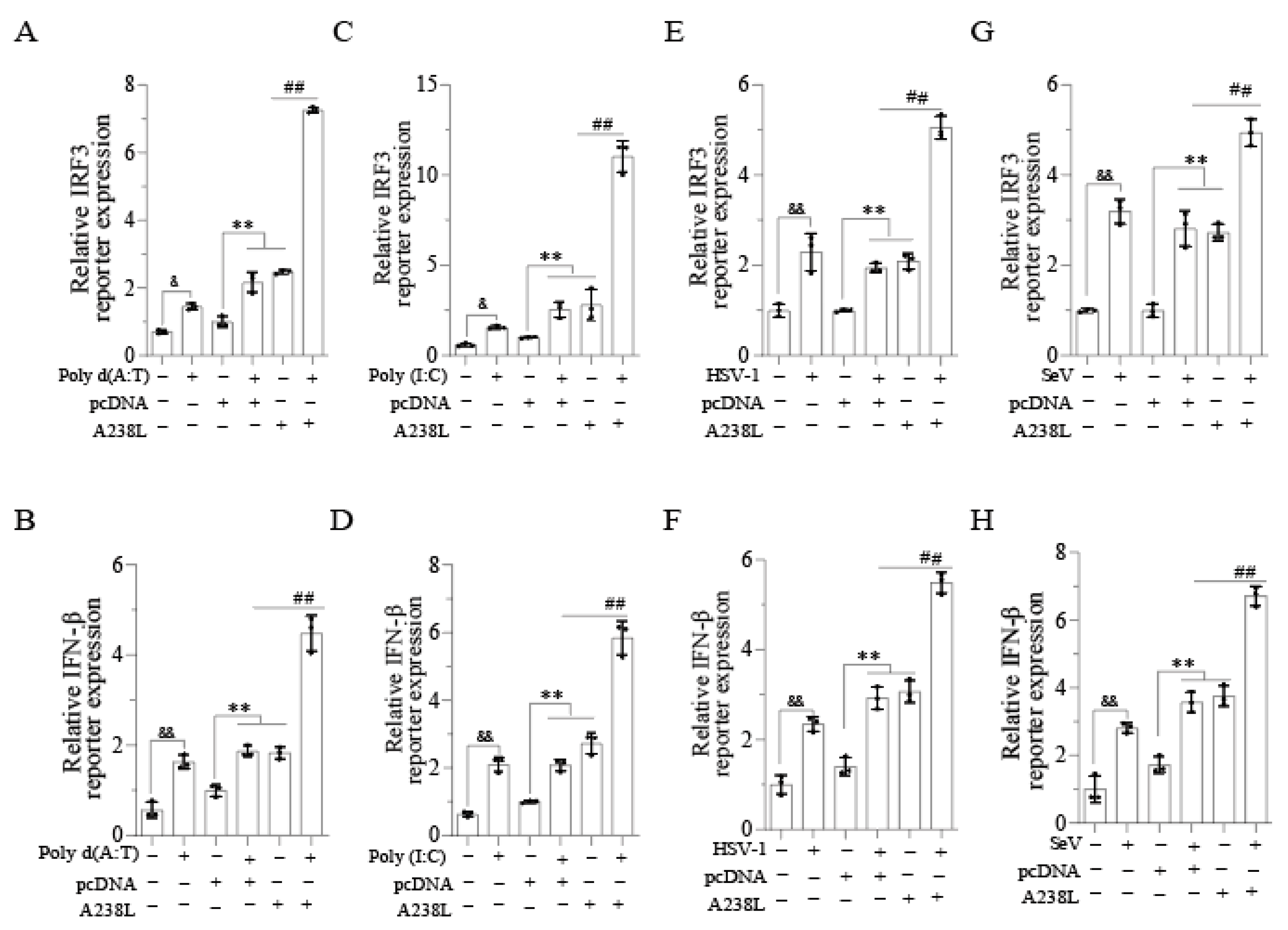 Vetsci 11 00252 g003