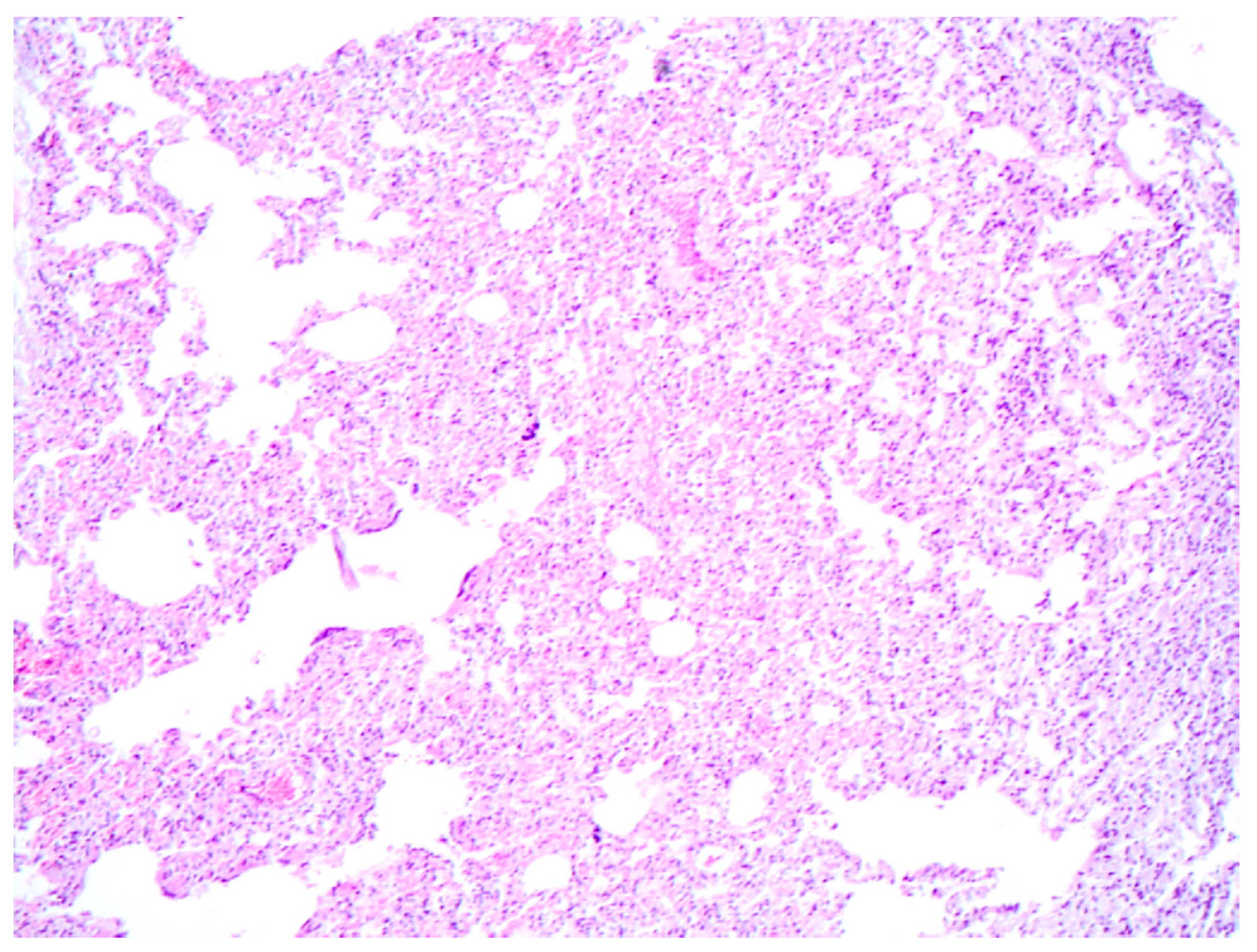 Vetsci 11 00254 g002