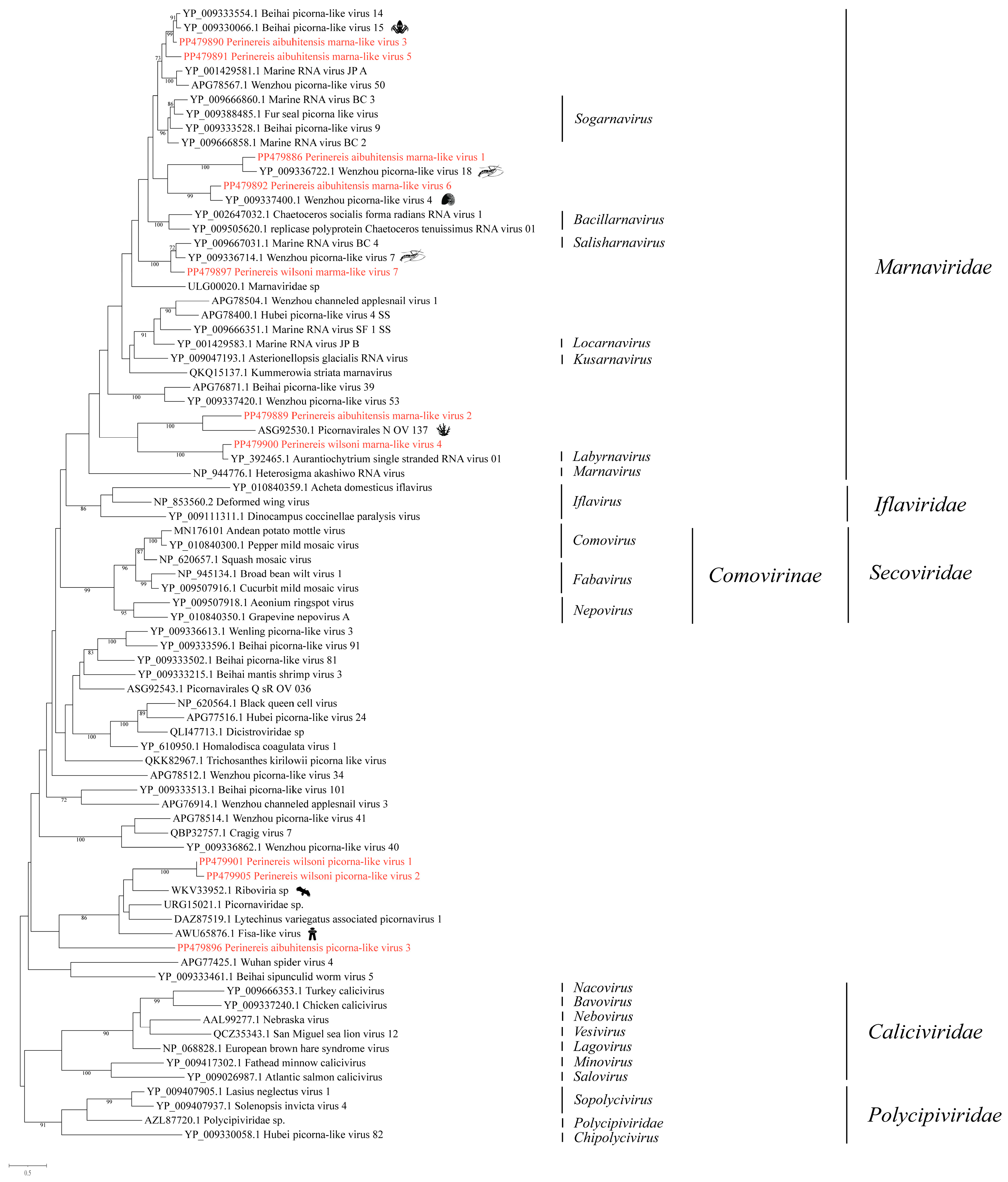 Vetsci 11 00273 g002