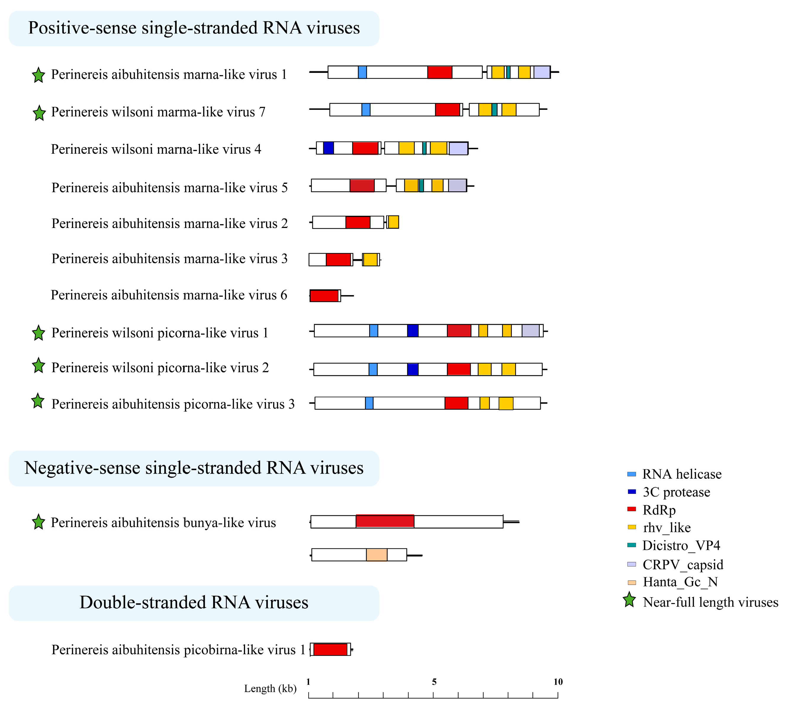 Vetsci 11 00273 g005