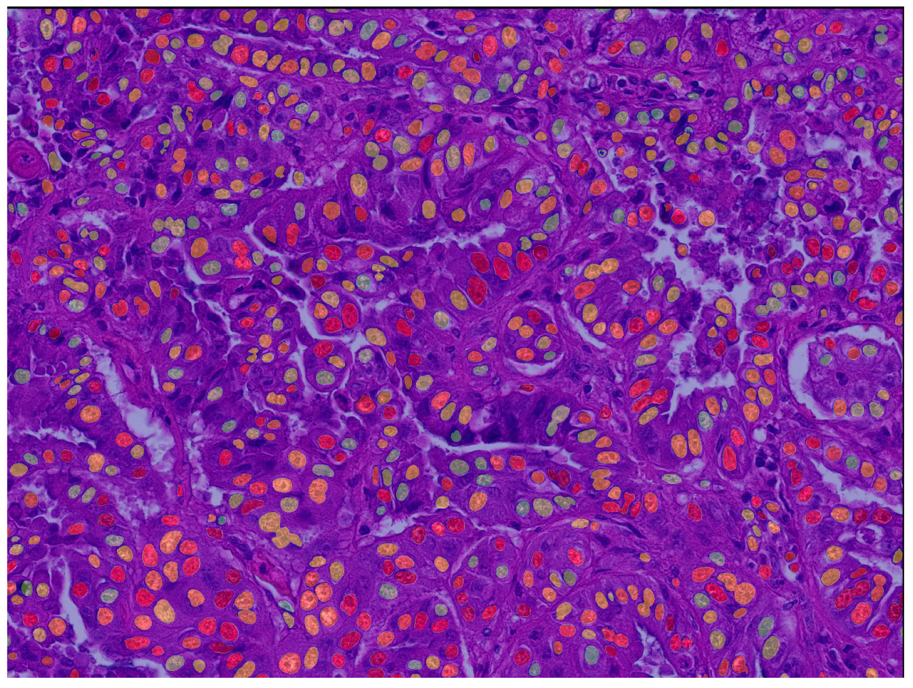 Vetsci 11 00278 g003