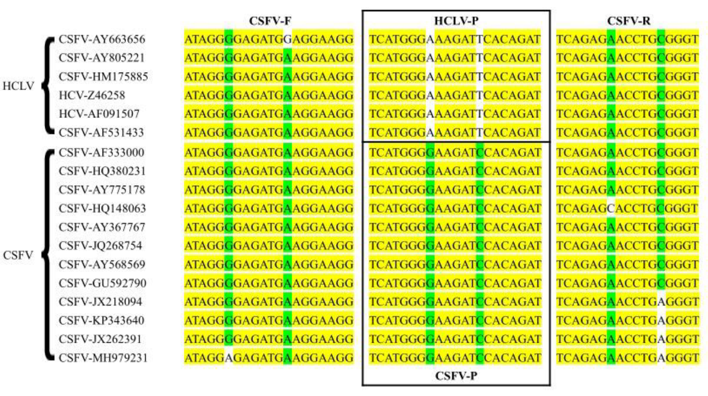 Vetsci 11 00289 g001